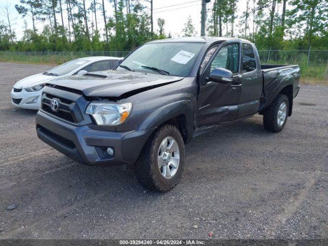 Photo 1 VIN: 5TFUU4EN6FX115378 - TOYOTA TACOMA 