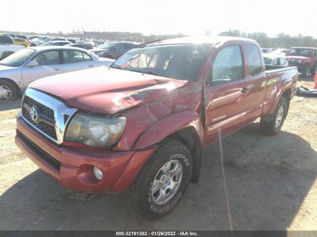 Photo 1 VIN: 5TFUU4EN7BX003540 - TOYOTA TACOMA 