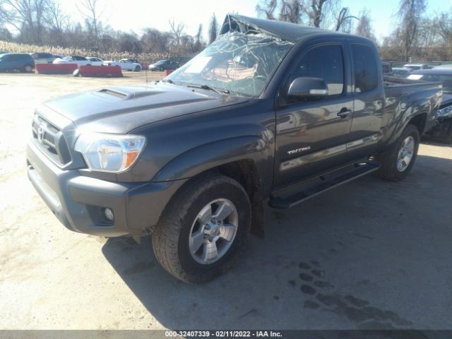 Photo 1 VIN: 5TFUU4EN7CX028195 - TOYOTA TACOMA 