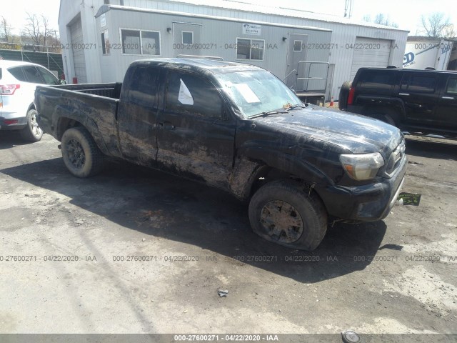 Photo 5 VIN: 5TFUX4EN4FX031681 - TOYOTA TACOMA 