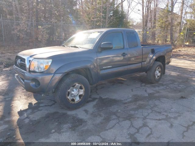 Photo 1 VIN: 5TFUX4EN5BX002491 - TOYOTA TACOMA 