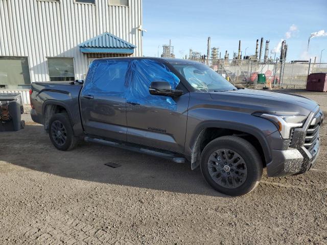 Photo 3 VIN: 5TFWA5DB1RX137503 - TOYOTA TUNDRA CRE 