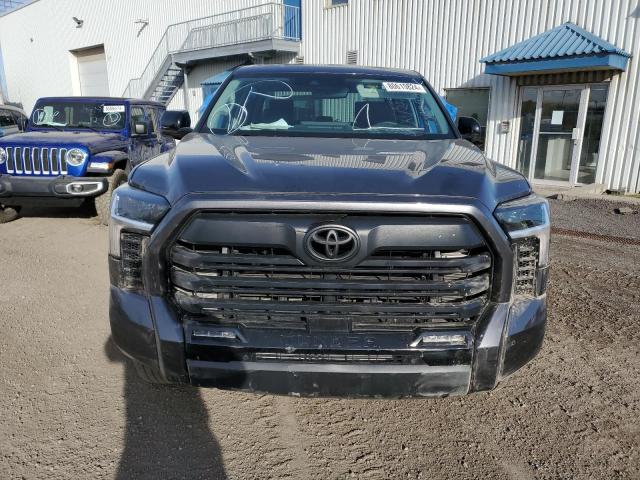 Photo 4 VIN: 5TFWA5DB1RX137503 - TOYOTA TUNDRA CRE 