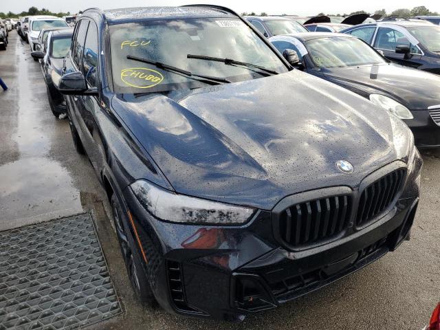 Photo 4 VIN: 5UX13EU05S9W56291 - BMW X5 SDRIVE 