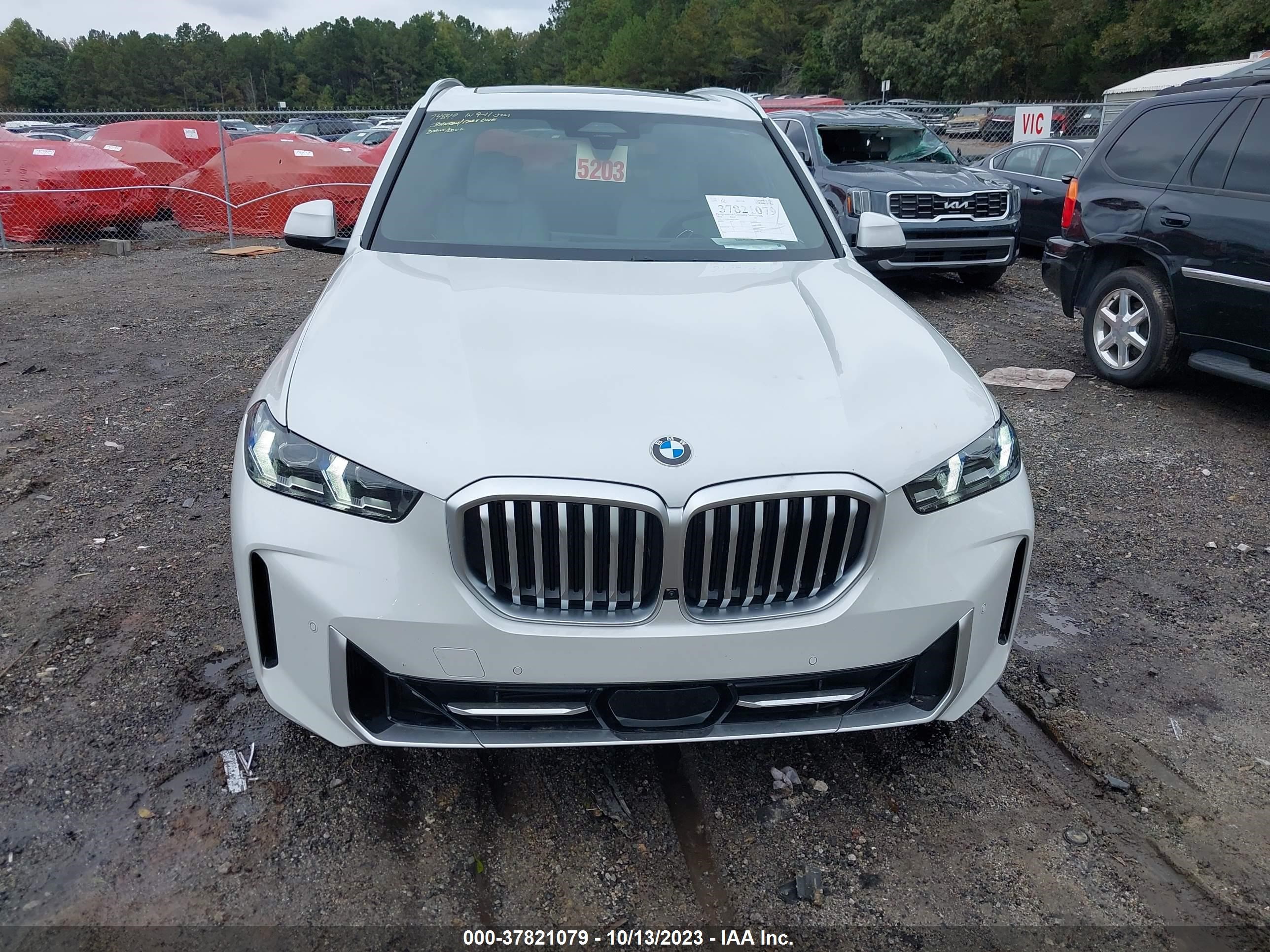 Photo 11 VIN: 5UX13EU09R9T59387 - BMW X5 