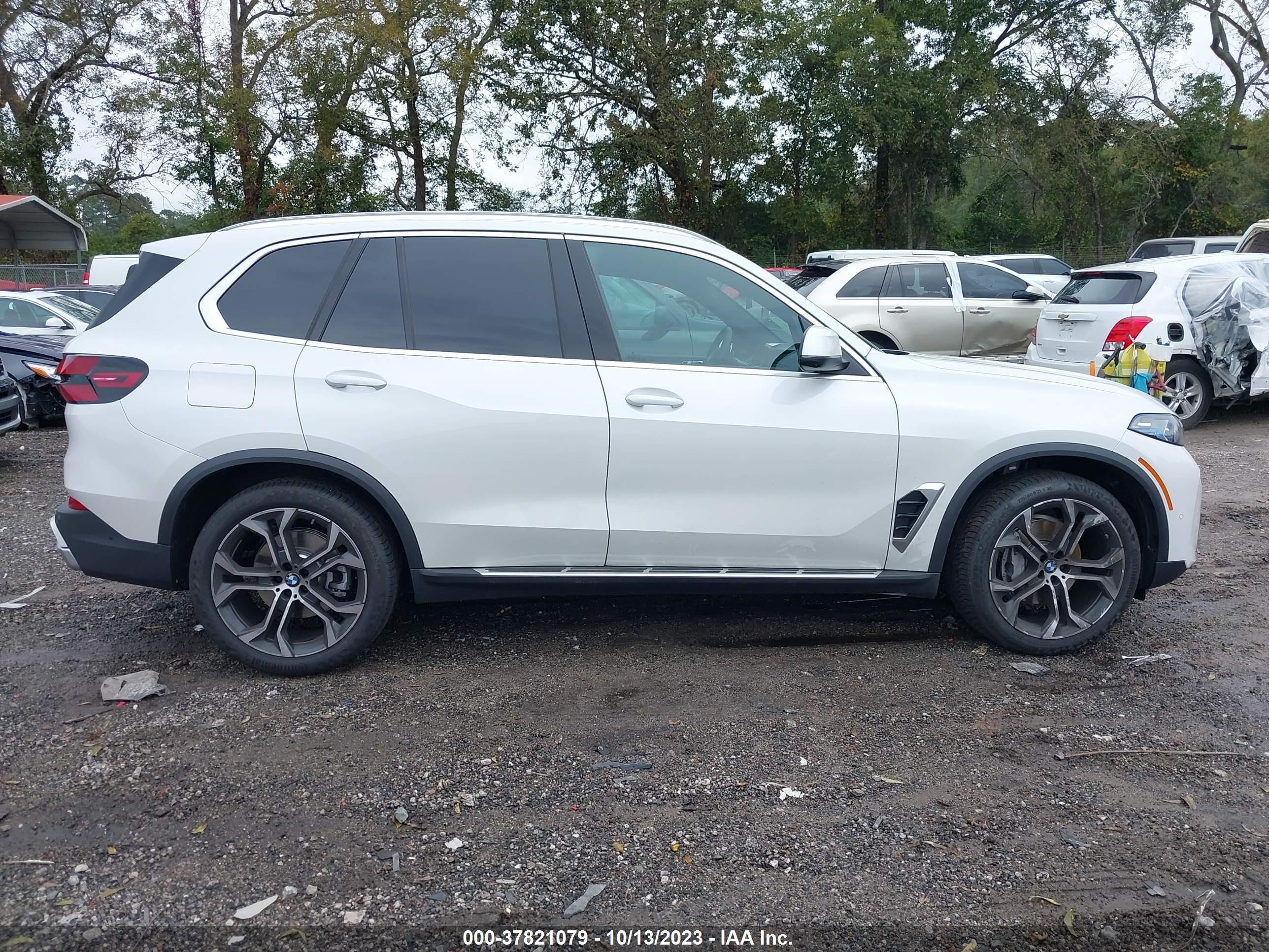 Photo 12 VIN: 5UX13EU09R9T59387 - BMW X5 