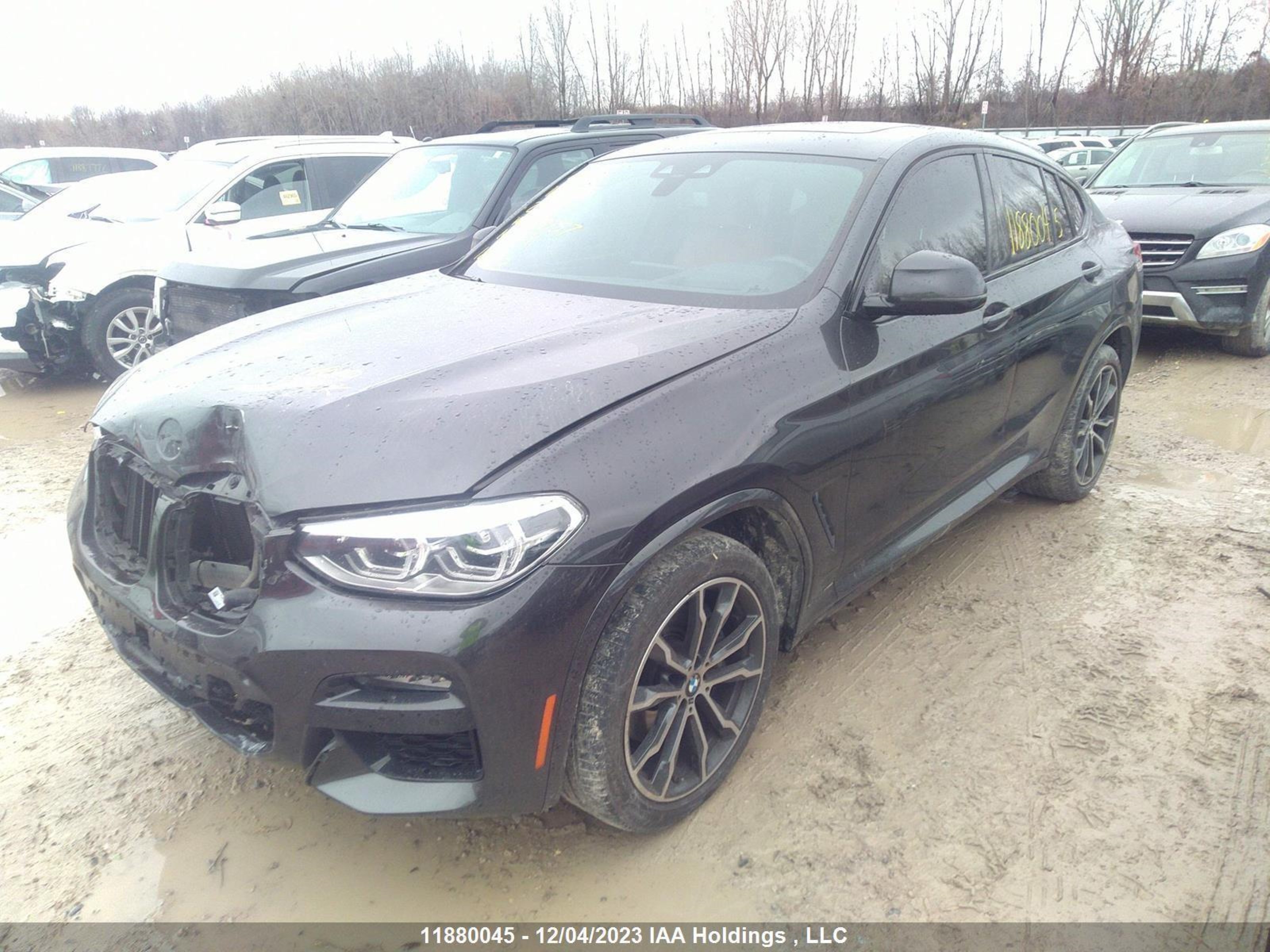 Photo 1 VIN: 5UX2V1C01L9B09757 - BMW X4 