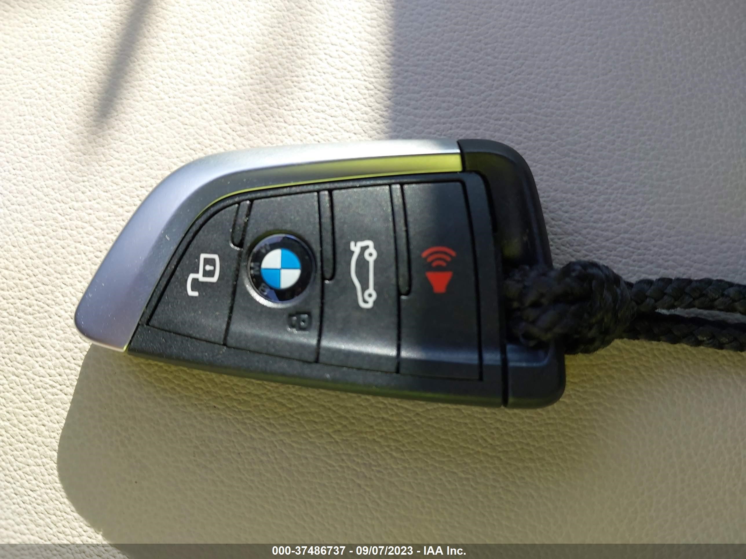 Photo 10 VIN: 5UX33DT06P9N74050 - BMW X4 