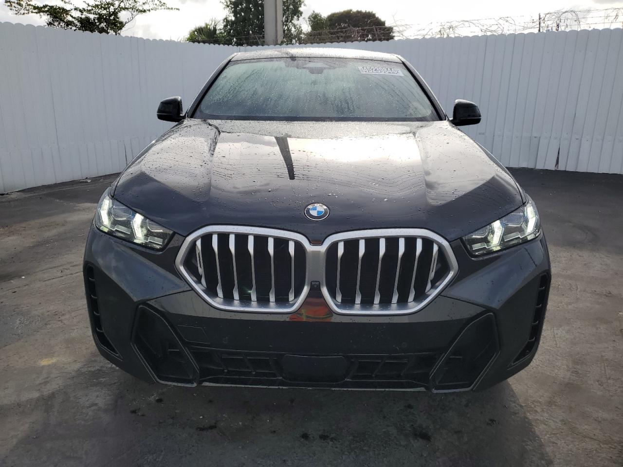 Photo 4 VIN: 5UX33EX04R9U39300 - BMW X6 