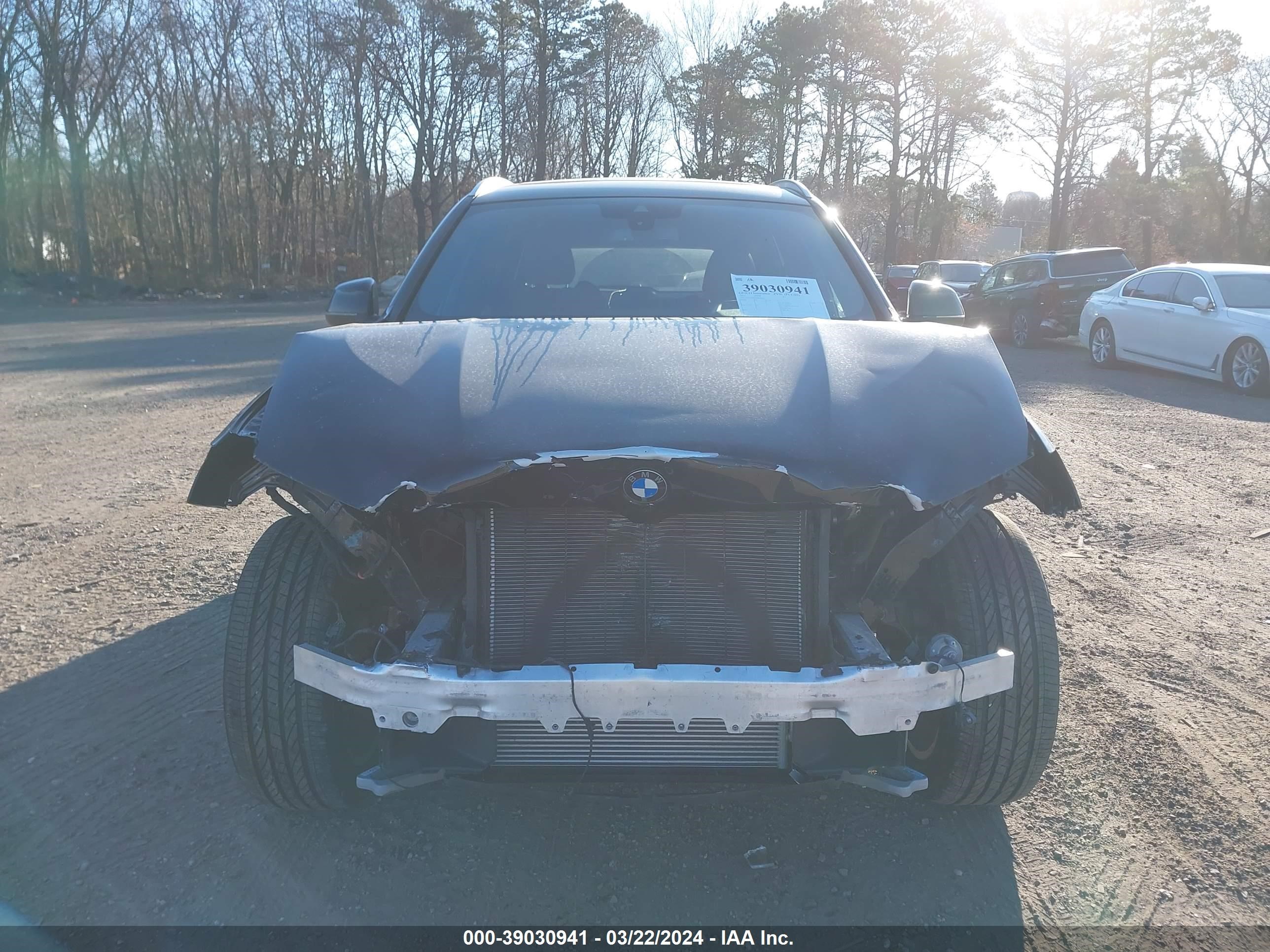 Photo 11 VIN: 5UX53DP05N9K46442 - BMW X3 