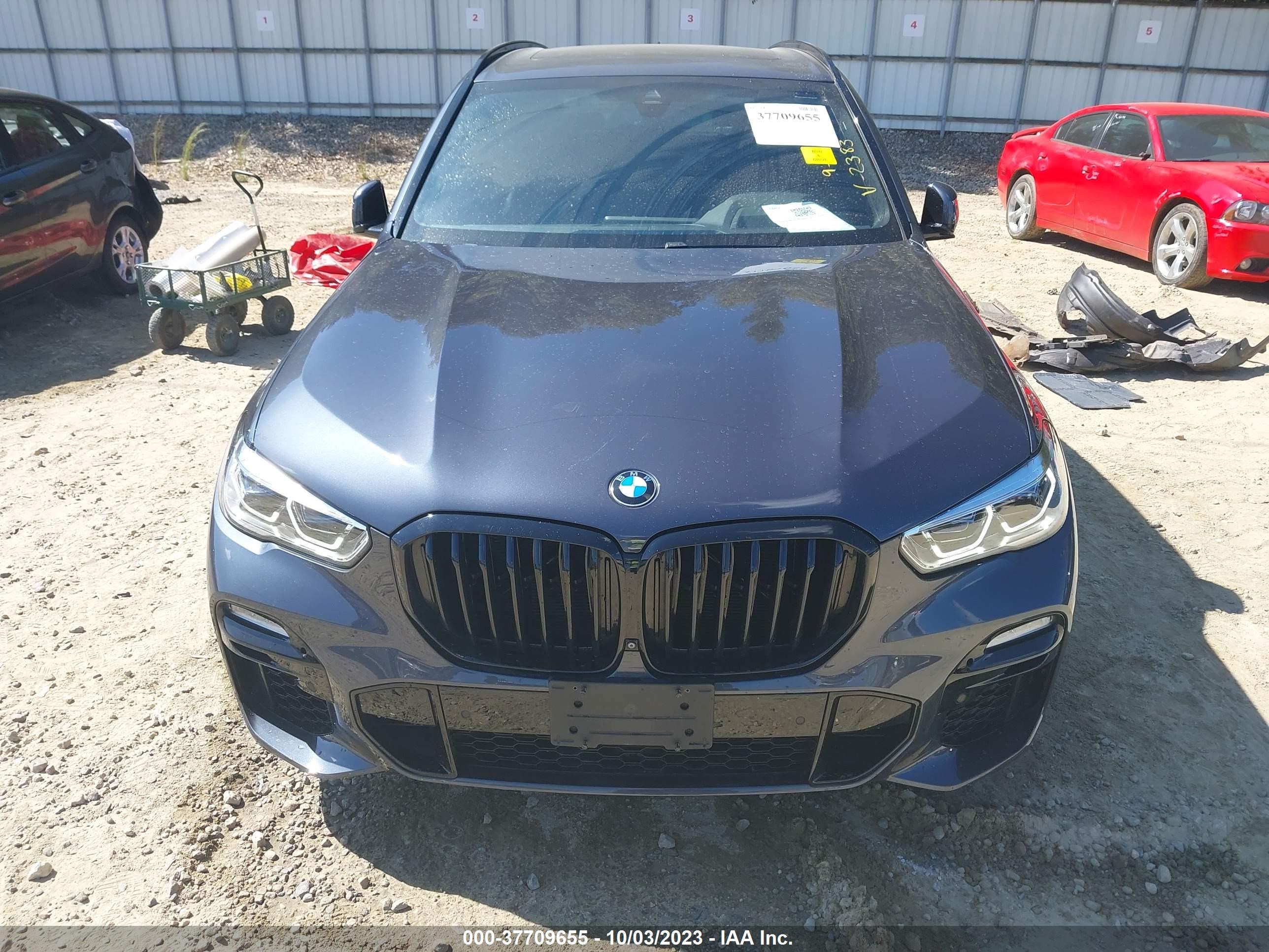 Photo 11 VIN: 5UXCR4C00L9B52383 - BMW X5 