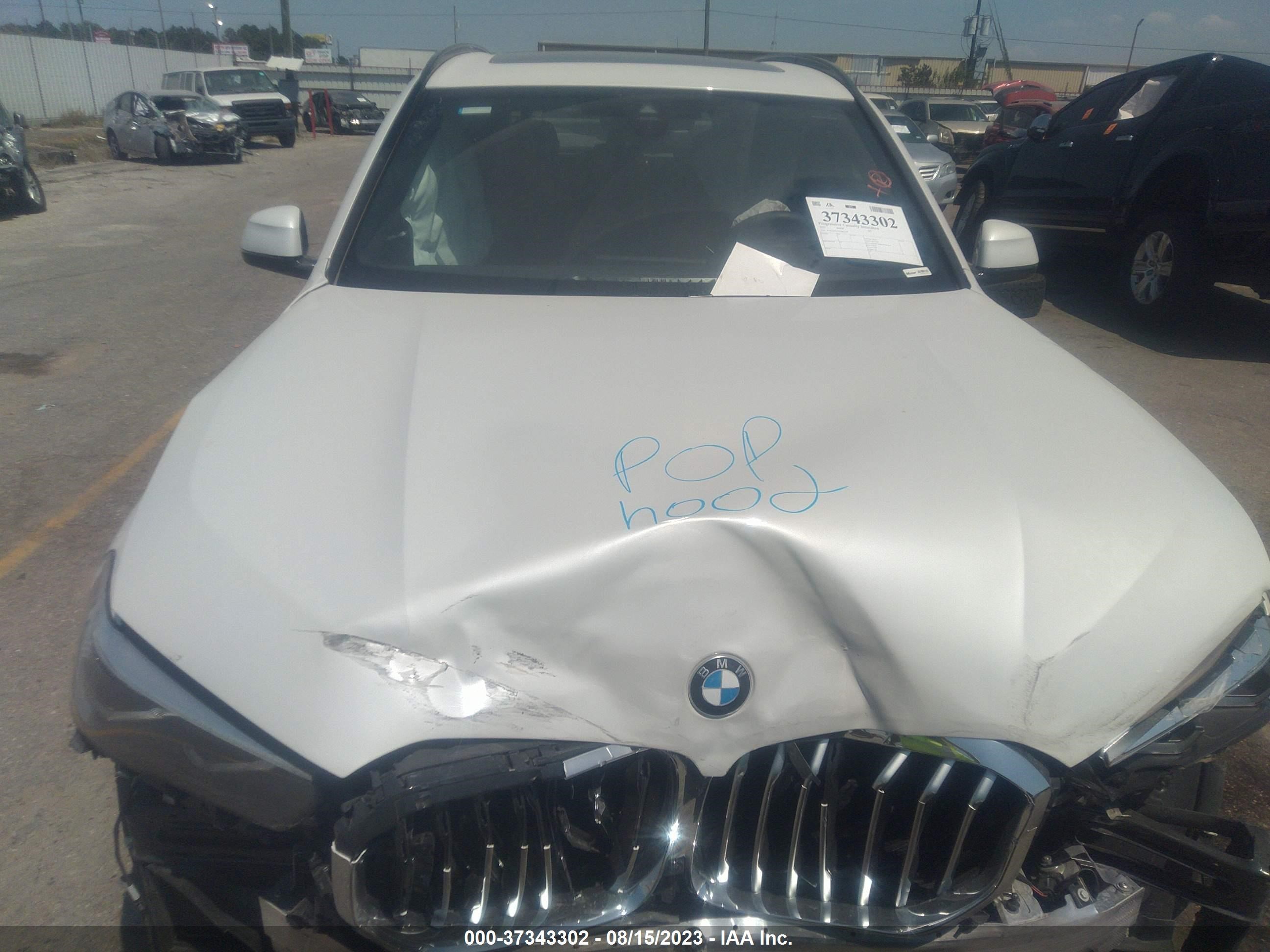 Photo 9 VIN: 5UXCR4C07P9S03459 - BMW X5 