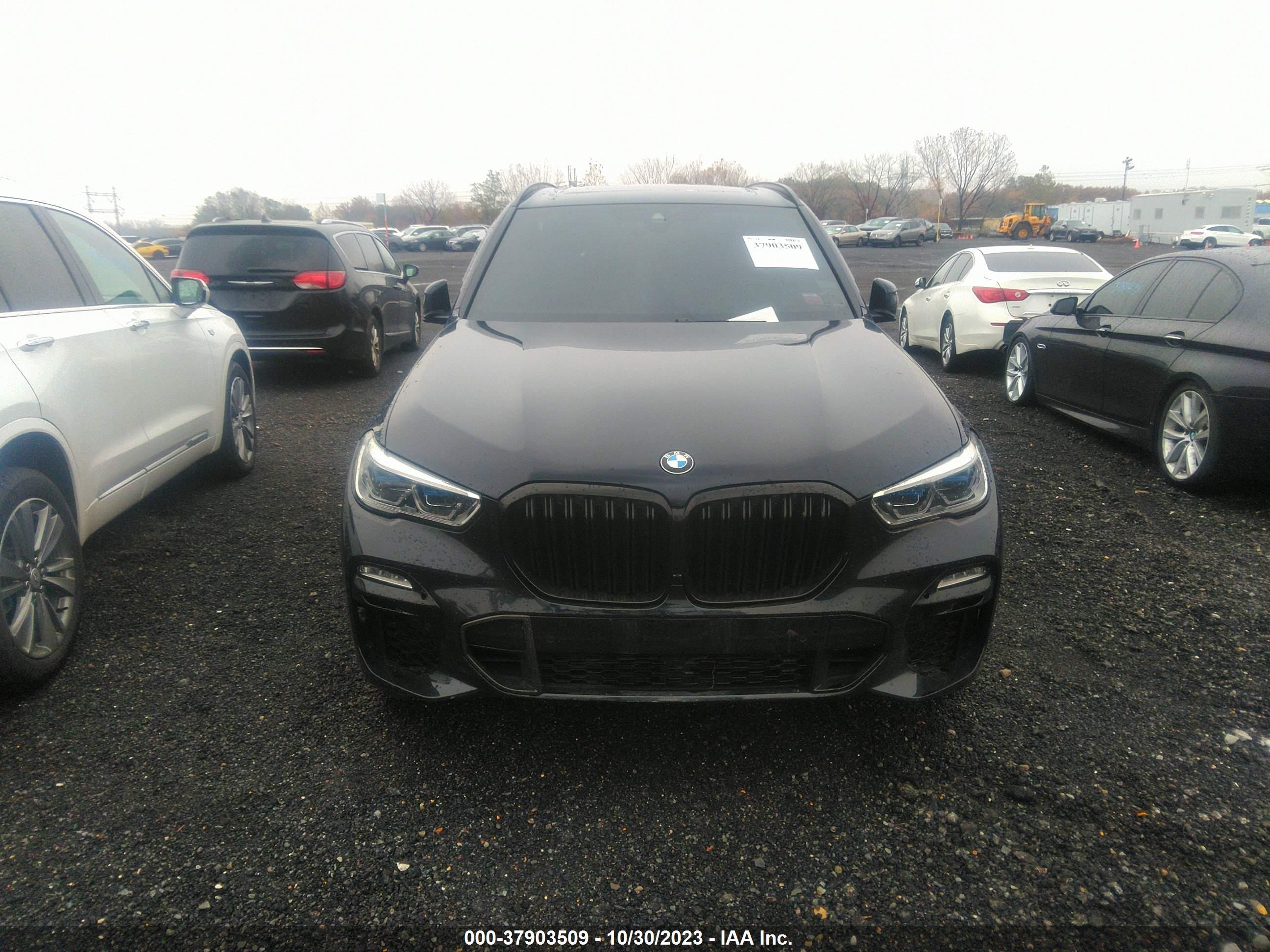 Photo 11 VIN: 5UXCR6C00M9F38864 - BMW X5 