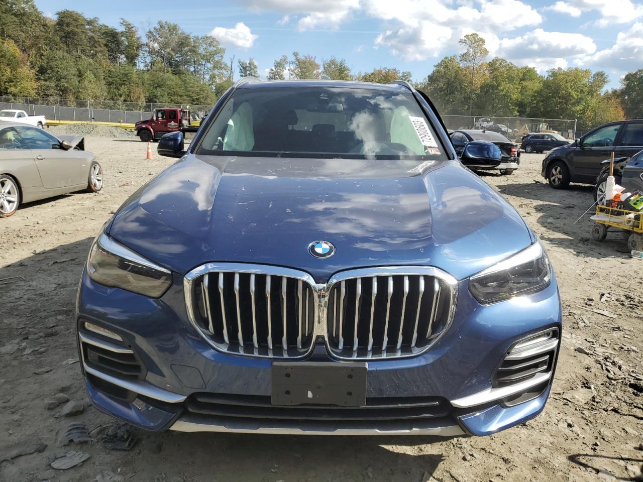 Photo 4 VIN: 5UXCR6C04L9C45256 - BMW X5 