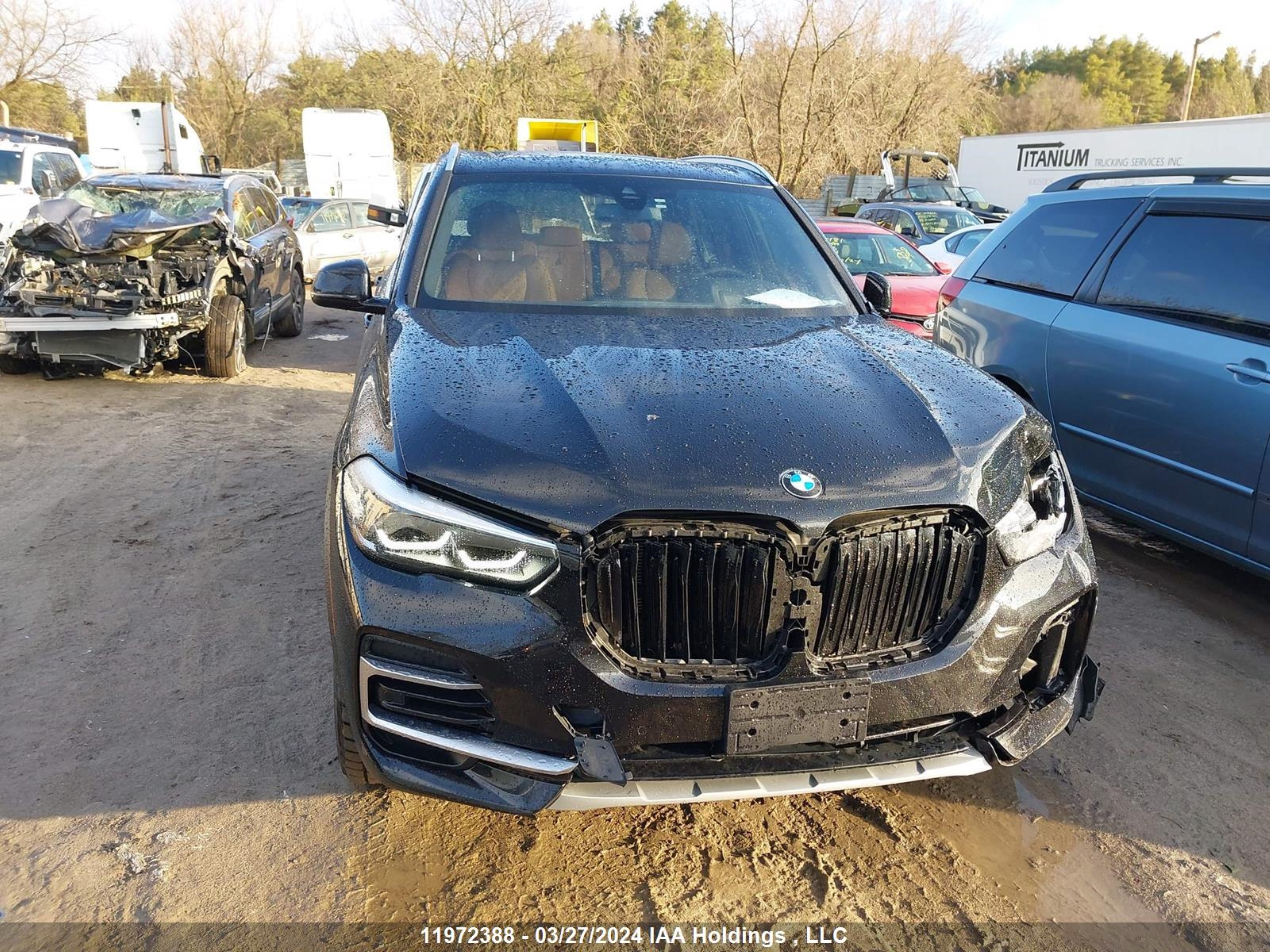 Photo 12 VIN: 5UXCR6C04P9N98888 - BMW X5 