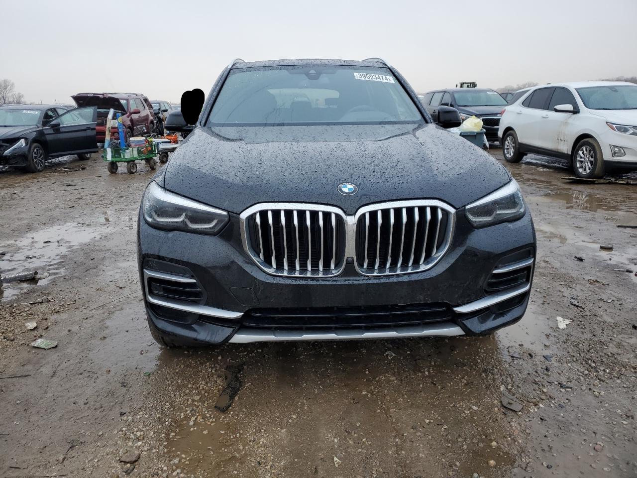 Photo 4 VIN: 5UXCR6C04P9R36953 - BMW X5 