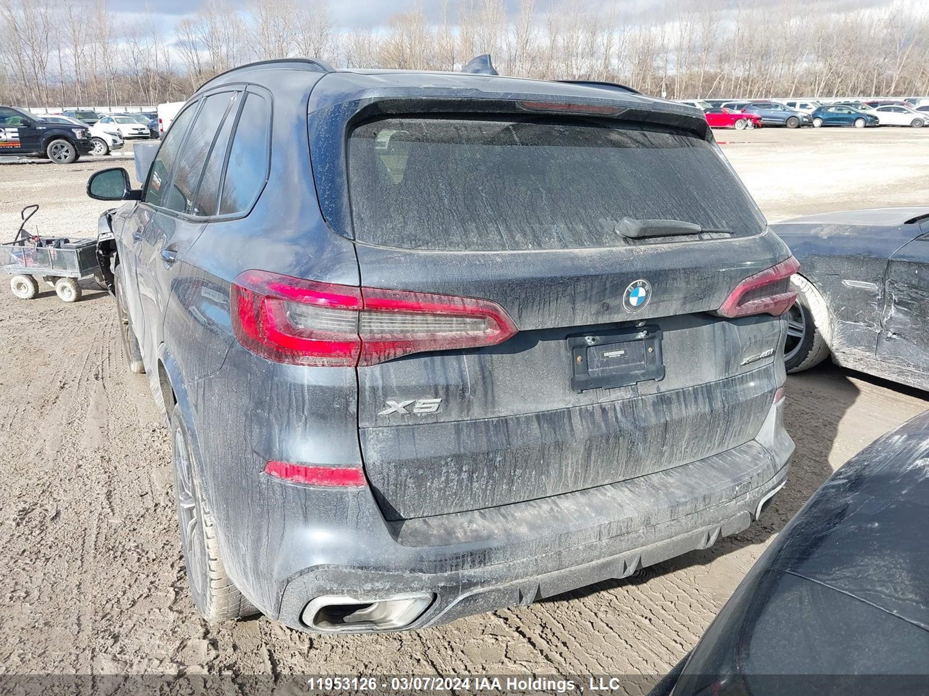 Photo 16 VIN: 5UXCR6C59KLL53902 - BMW X5 