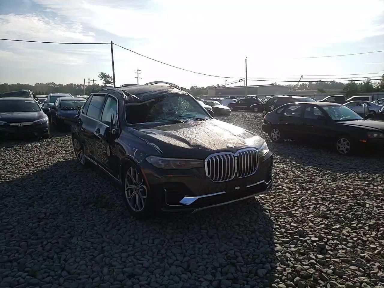 Photo 10 VIN: 5UXCW2C04L9B81446 - BMW X7 XDRIVE4 