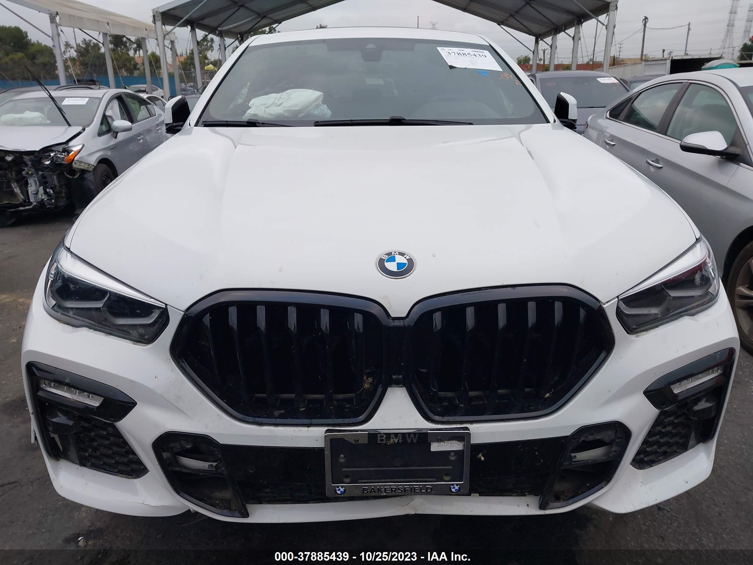 Photo 11 VIN: 5UXCY4C03M9E08715 - BMW X6 