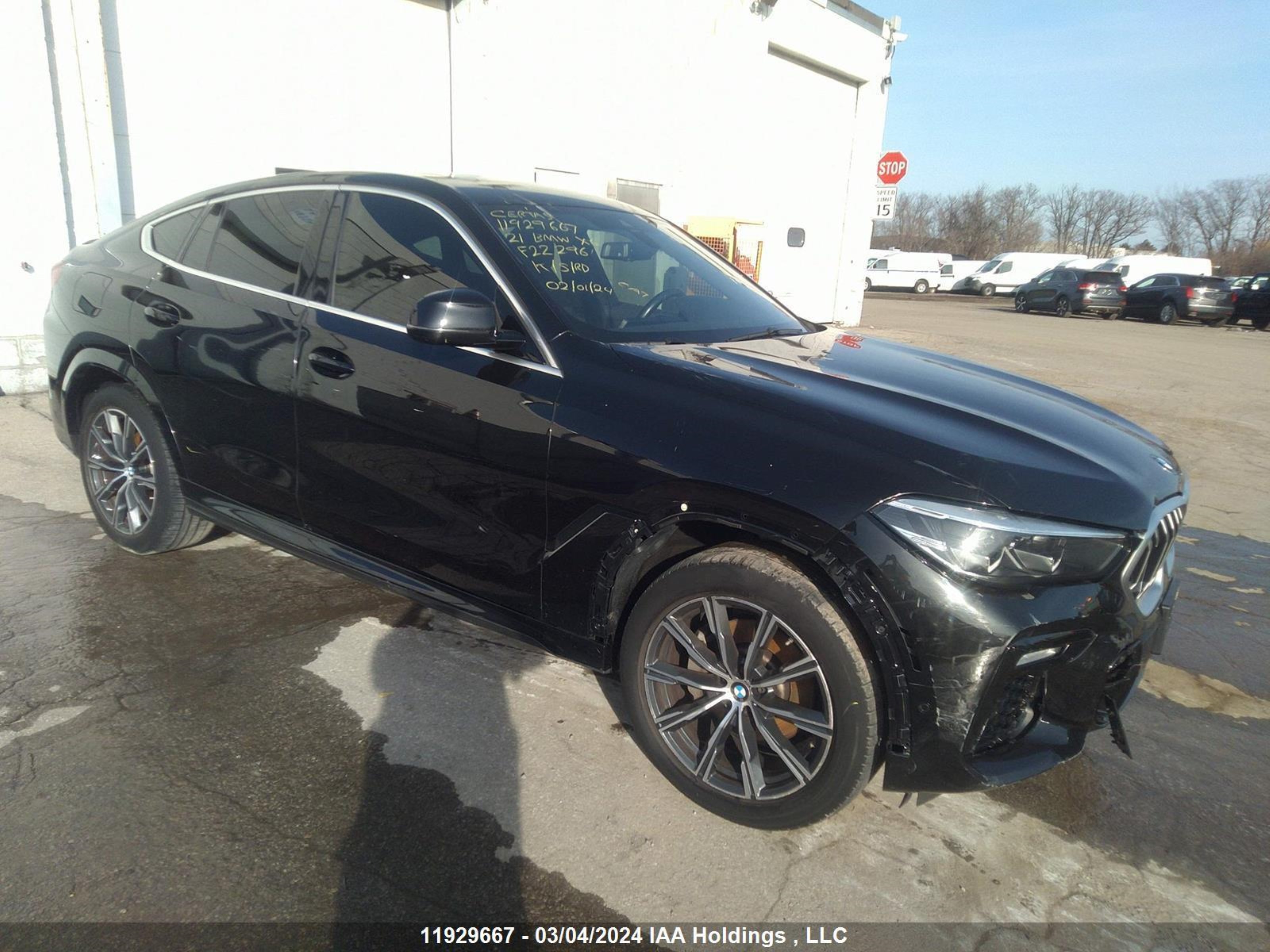 Photo 0 VIN: 5UXCY6C04M9F22296 - BMW X6 