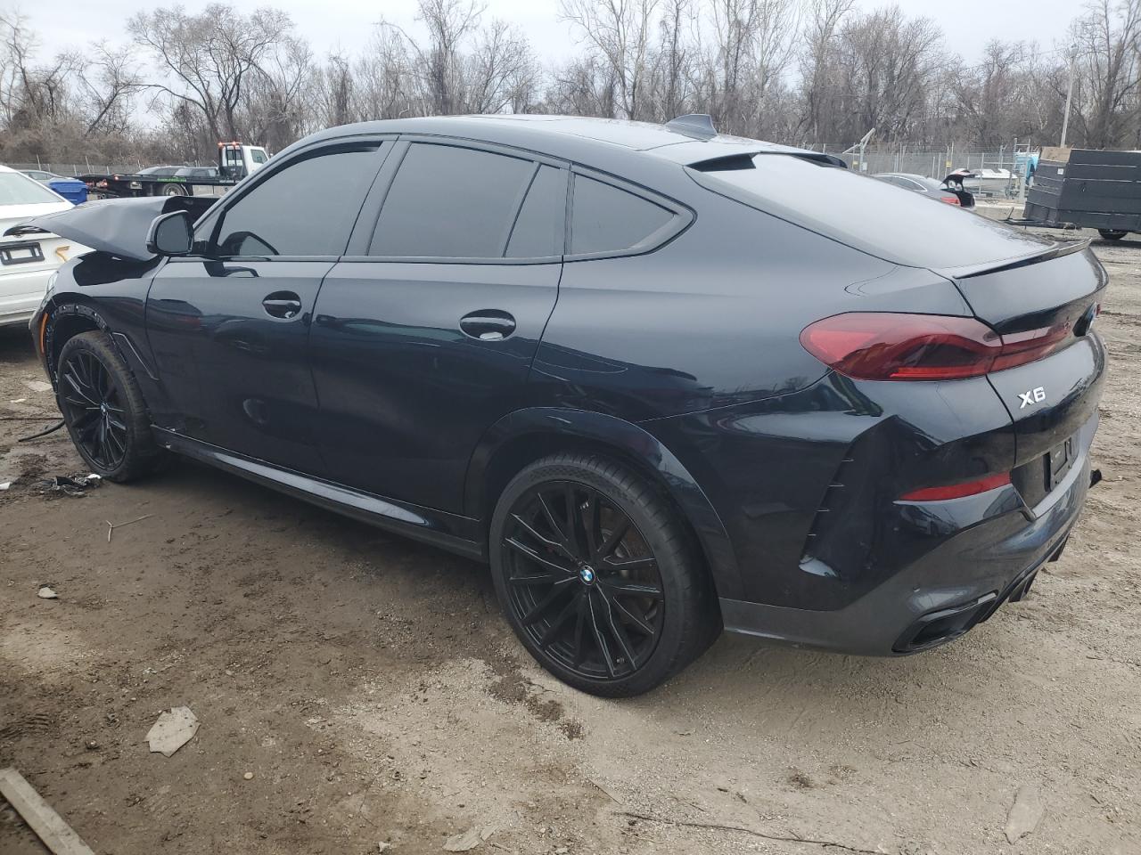 Photo 1 VIN: 5UXCY6C04M9H35734 - BMW X6 