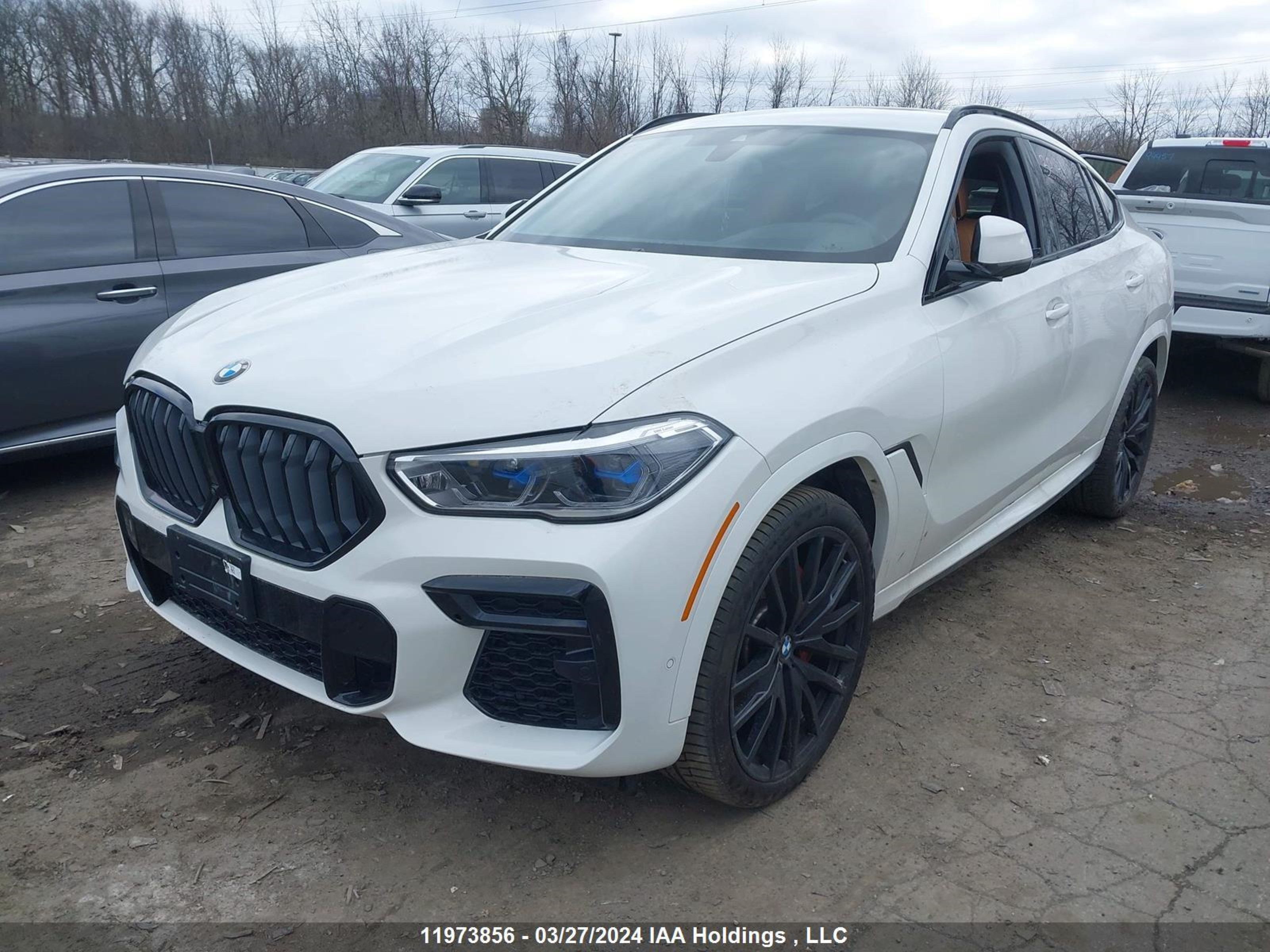 Photo 1 VIN: 5UXCY6C08P9R30141 - BMW X6 