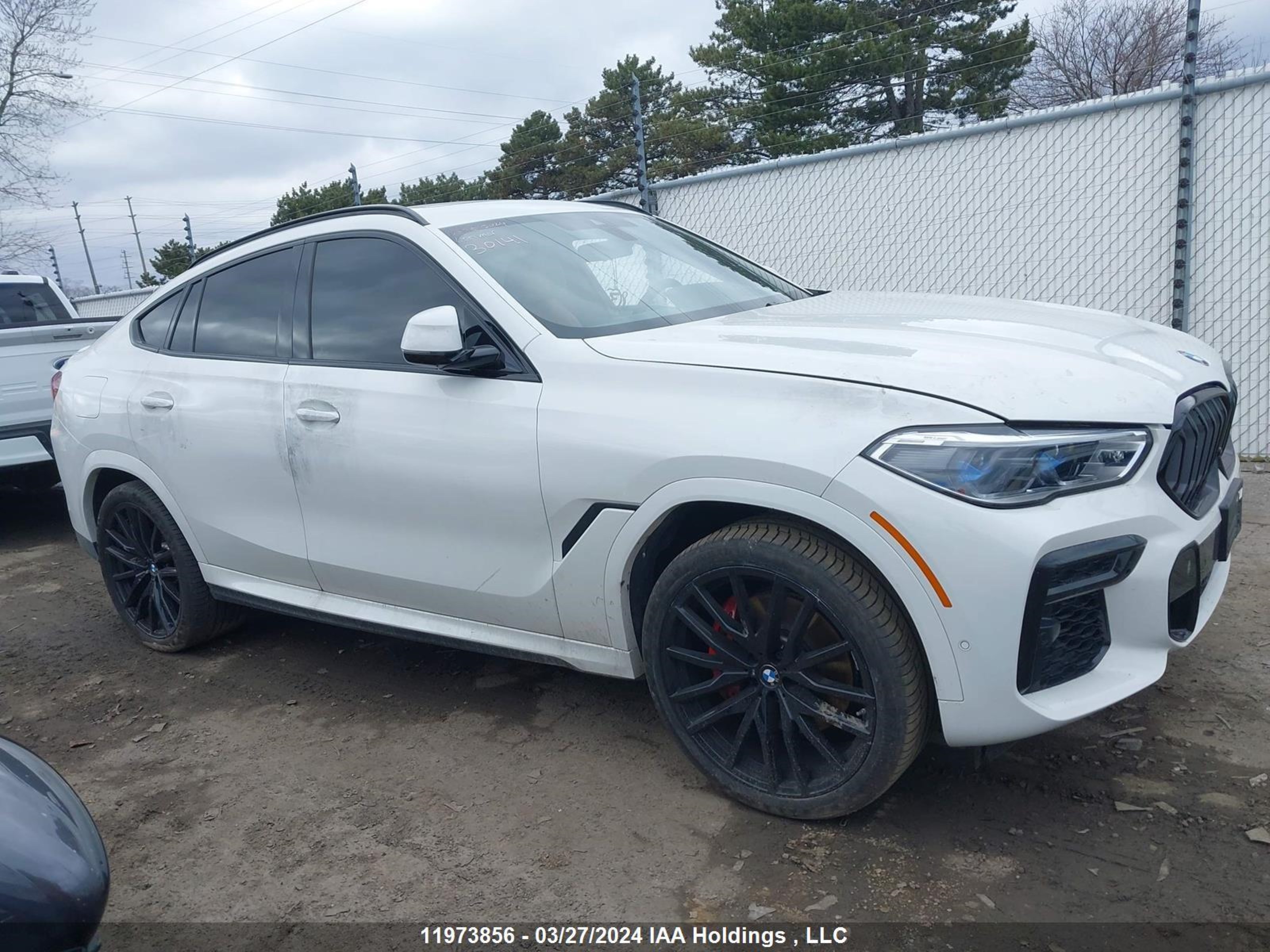 Photo 11 VIN: 5UXCY6C08P9R30141 - BMW X6 