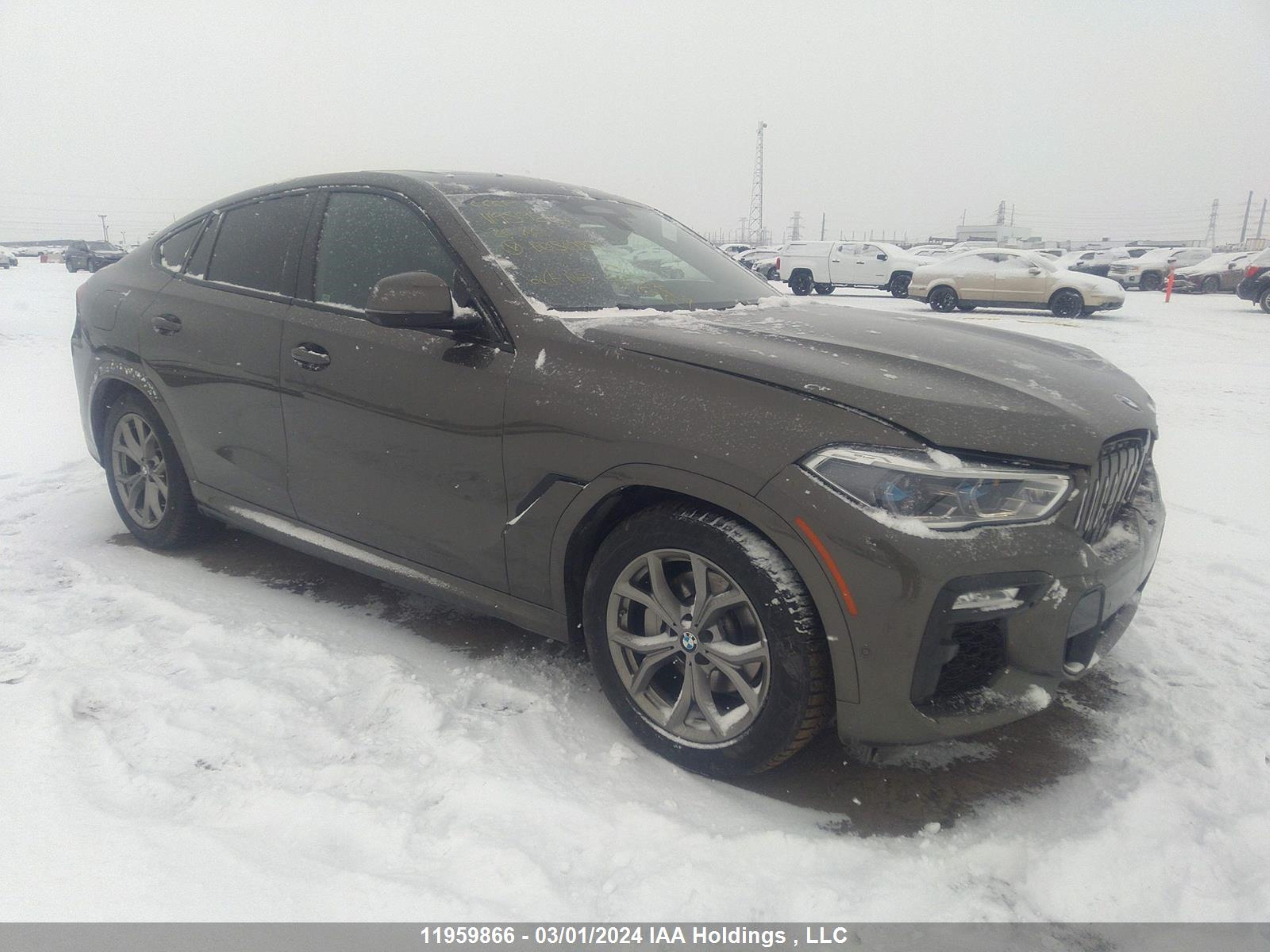 Photo 0 VIN: 5UXCY6C09L9B05089 - BMW X6 