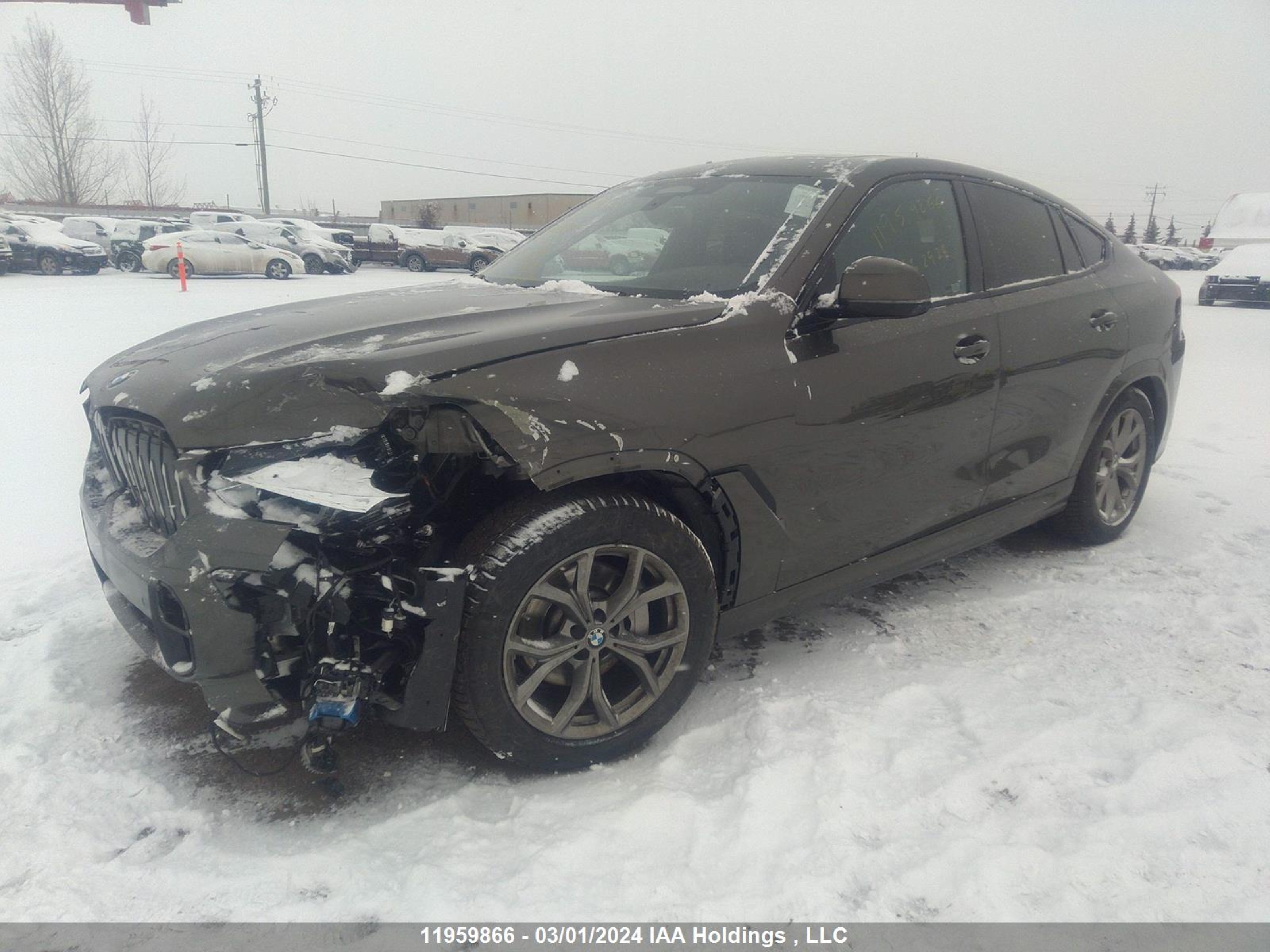 Photo 1 VIN: 5UXCY6C09L9B05089 - BMW X6 