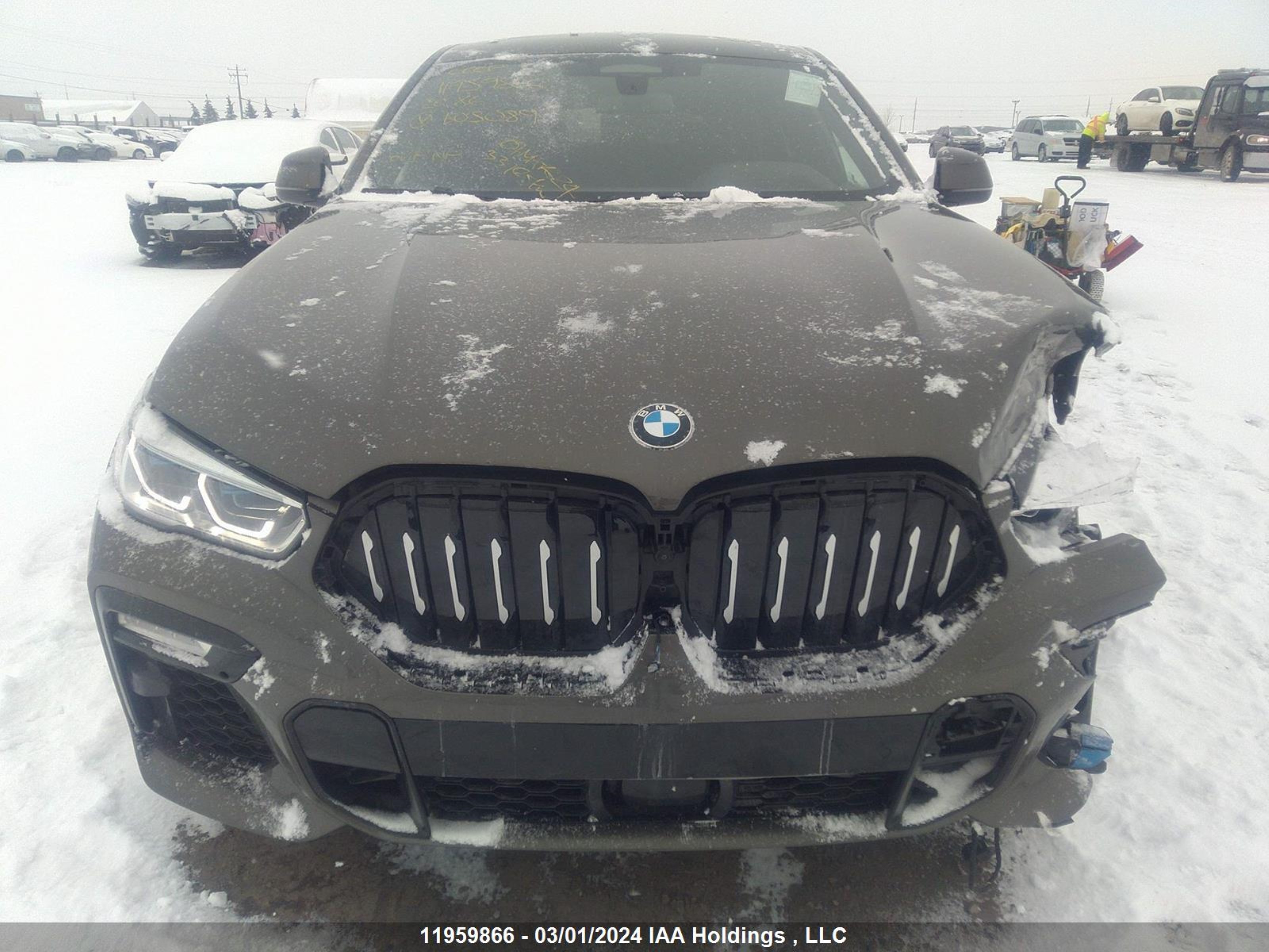 Photo 12 VIN: 5UXCY6C09L9B05089 - BMW X6 