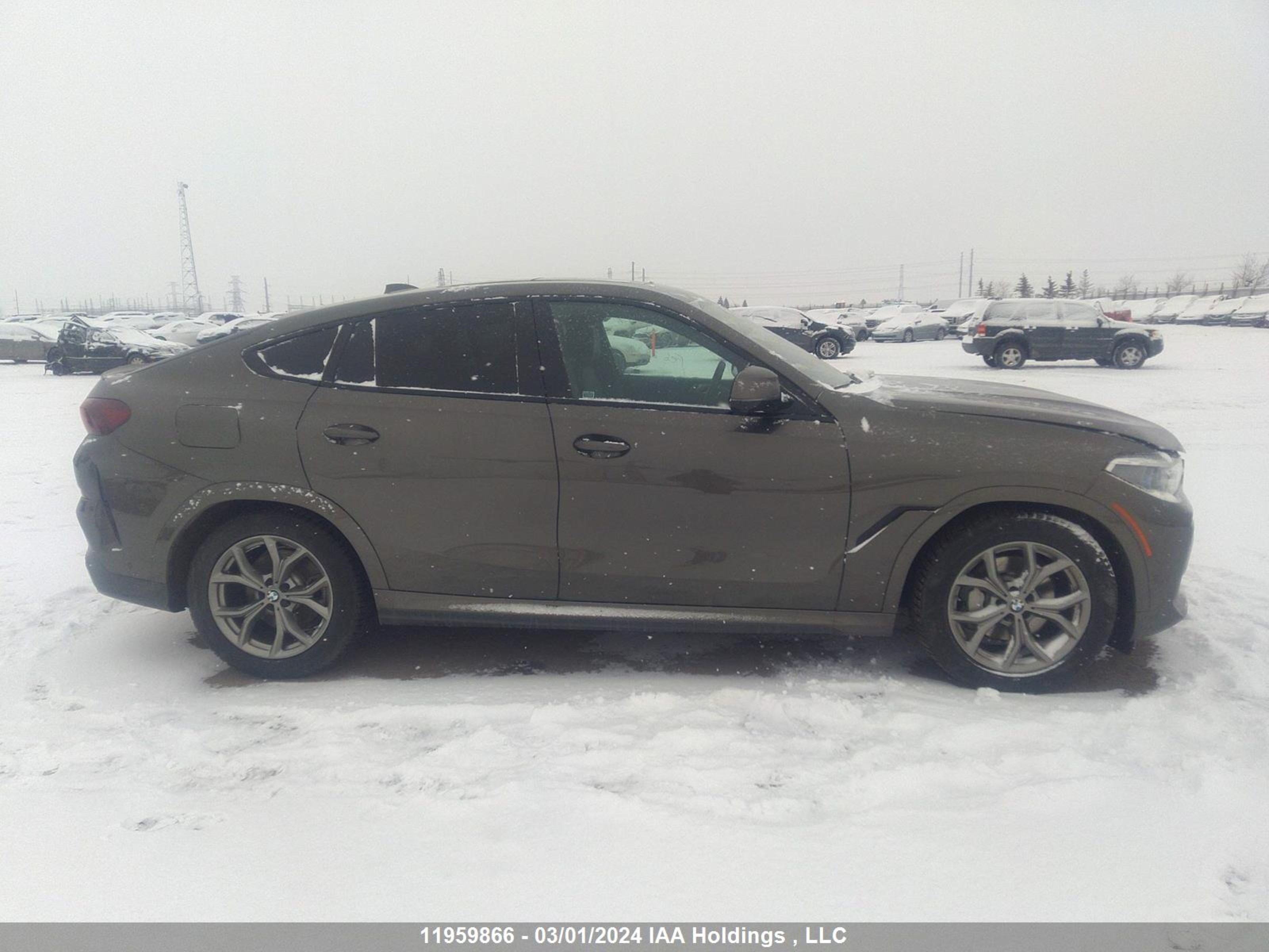 Photo 13 VIN: 5UXCY6C09L9B05089 - BMW X6 