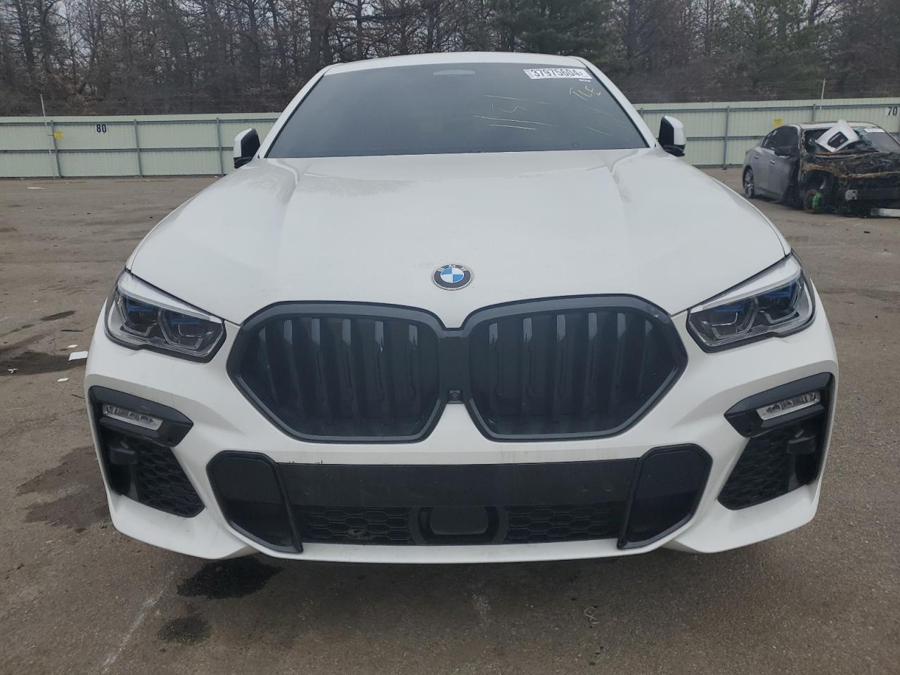 Photo 4 VIN: 5UXCY8C02M9E21057 - BMW X6 