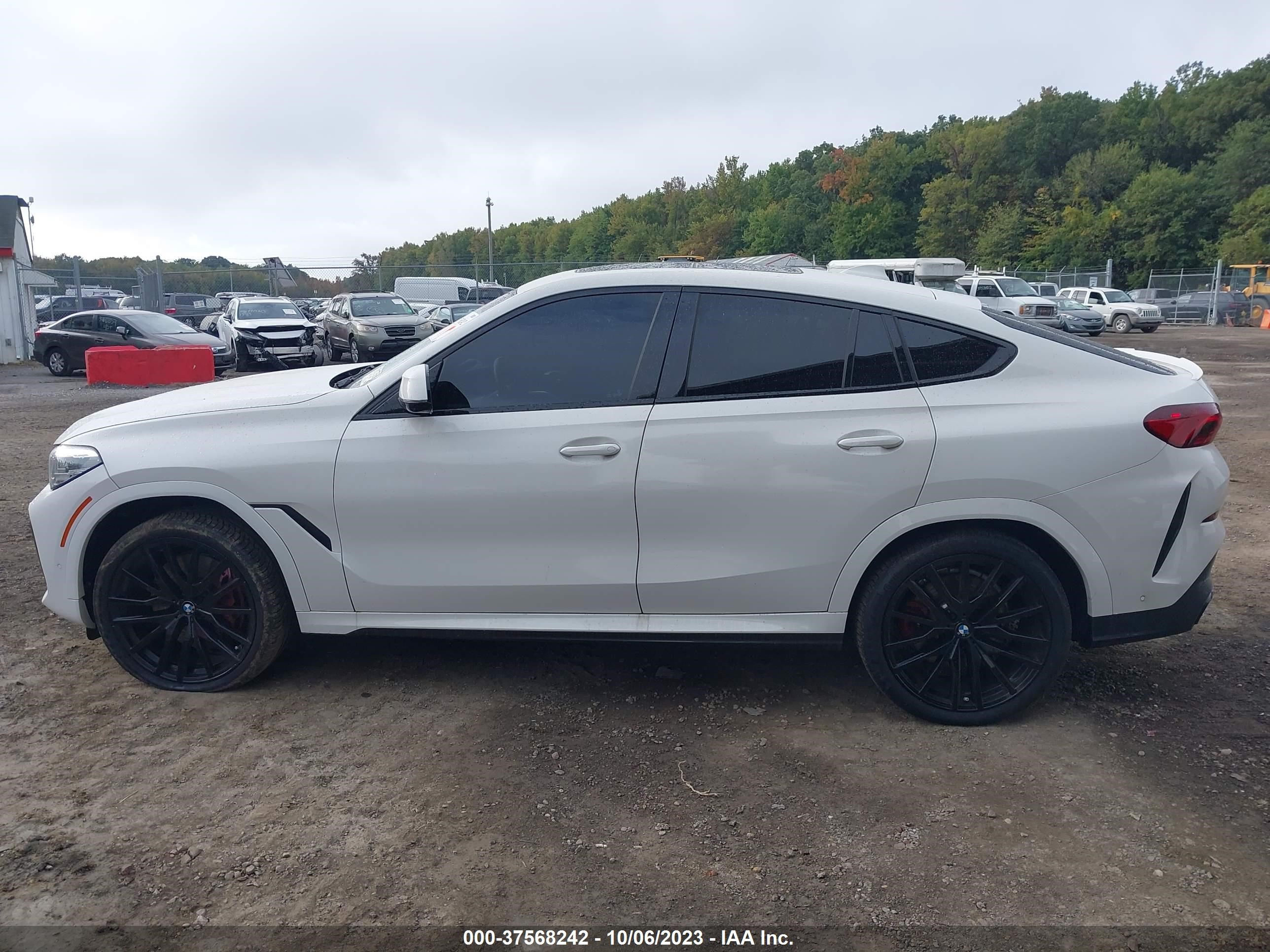 Photo 13 VIN: 5UXCY8C04P9N66165 - BMW X6 