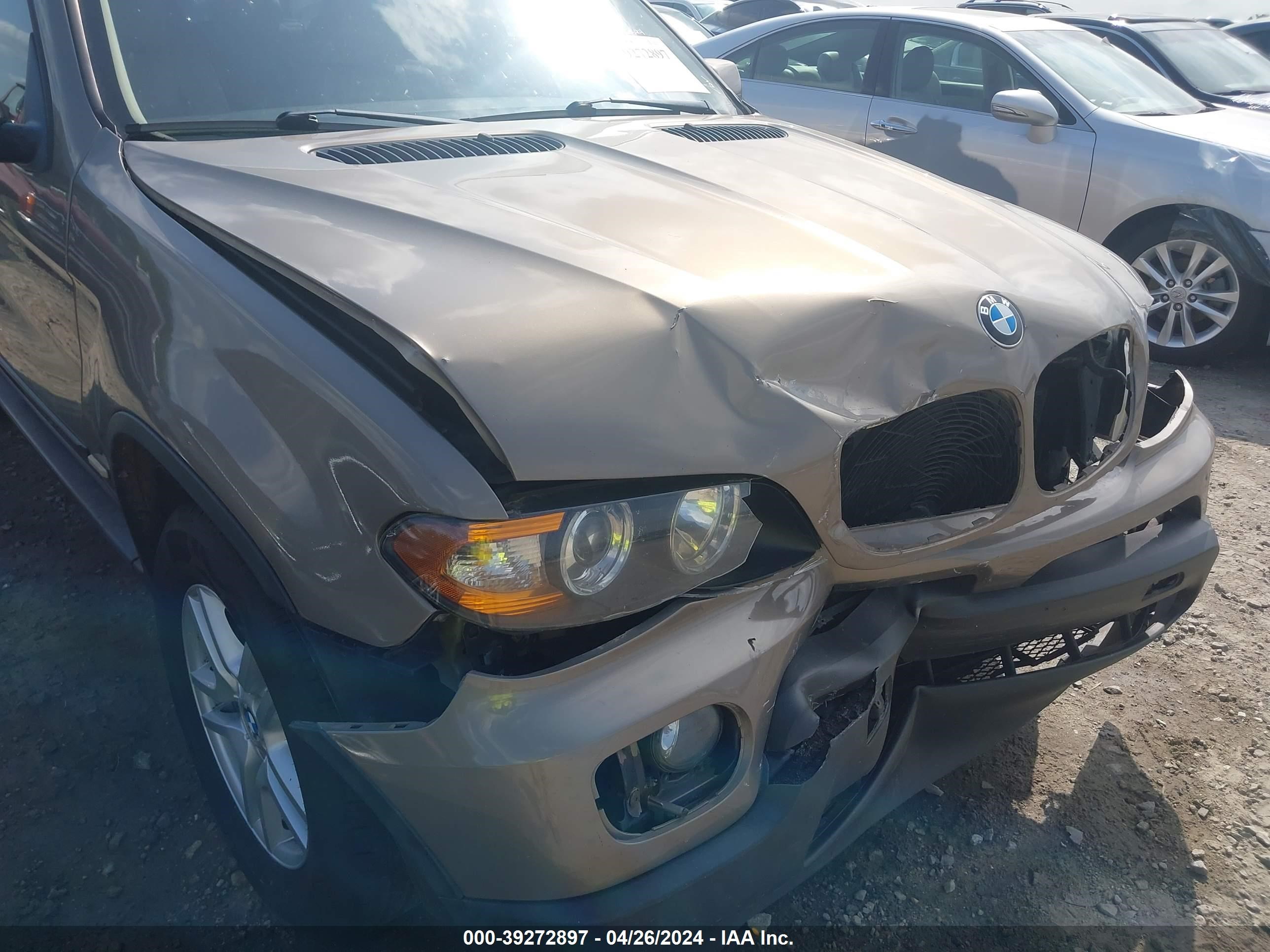 Photo 18 VIN: 5UXFA13504LU34197 - BMW X5 