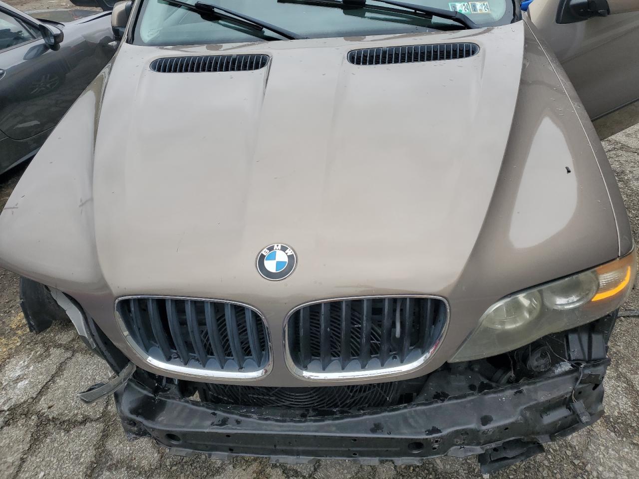 Photo 10 VIN: 5UXFA13505LY14058 - BMW X5 