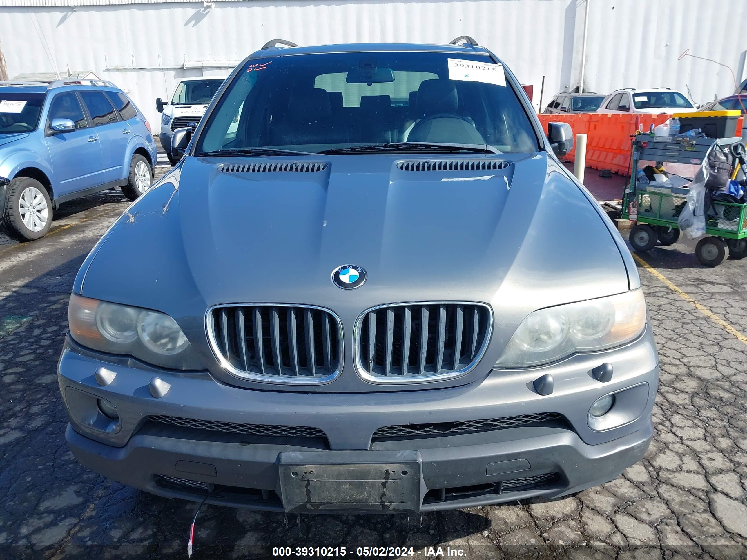 Photo 11 VIN: 5UXFA13506LY44484 - BMW X5 