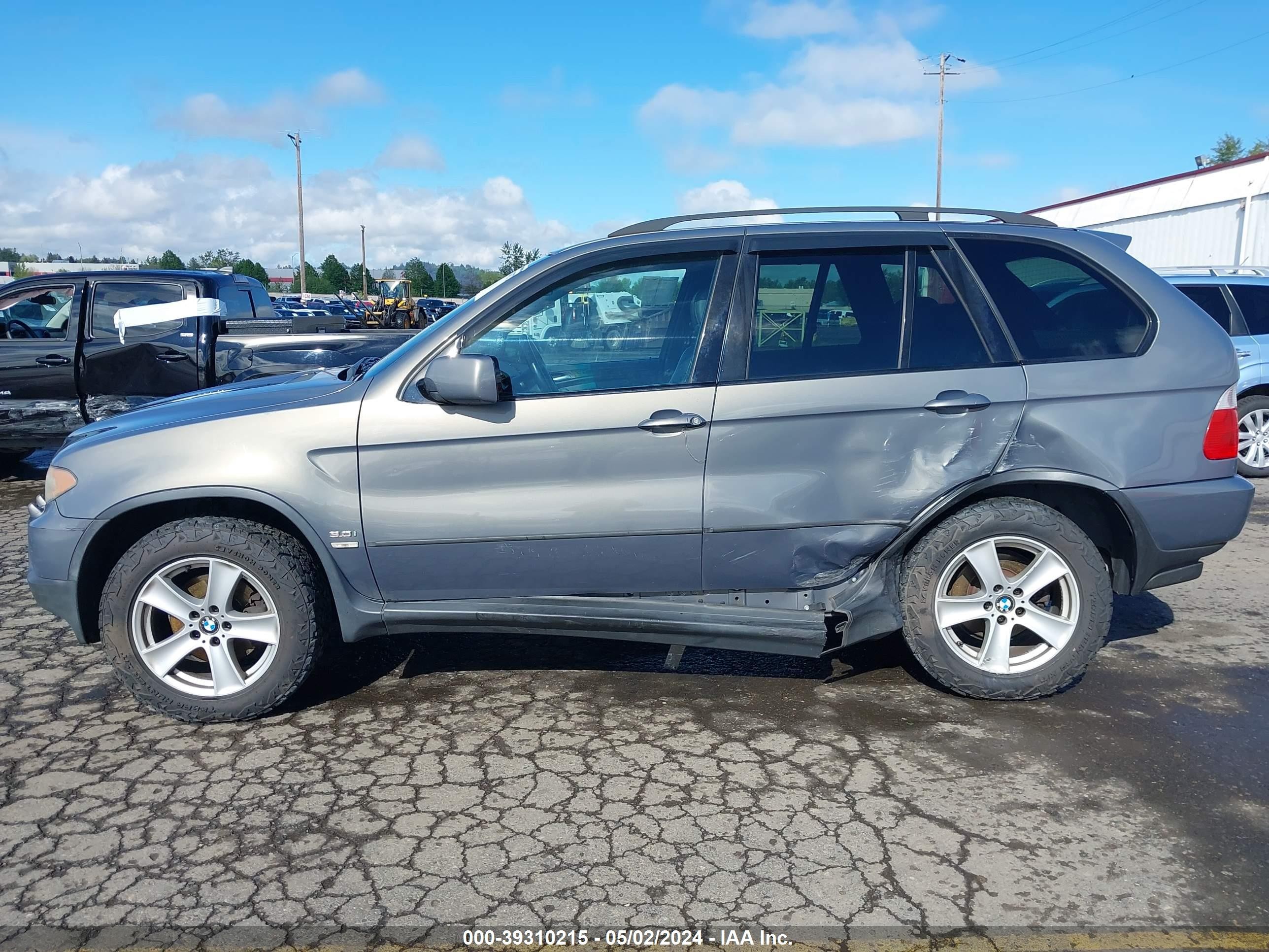 Photo 13 VIN: 5UXFA13506LY44484 - BMW X5 