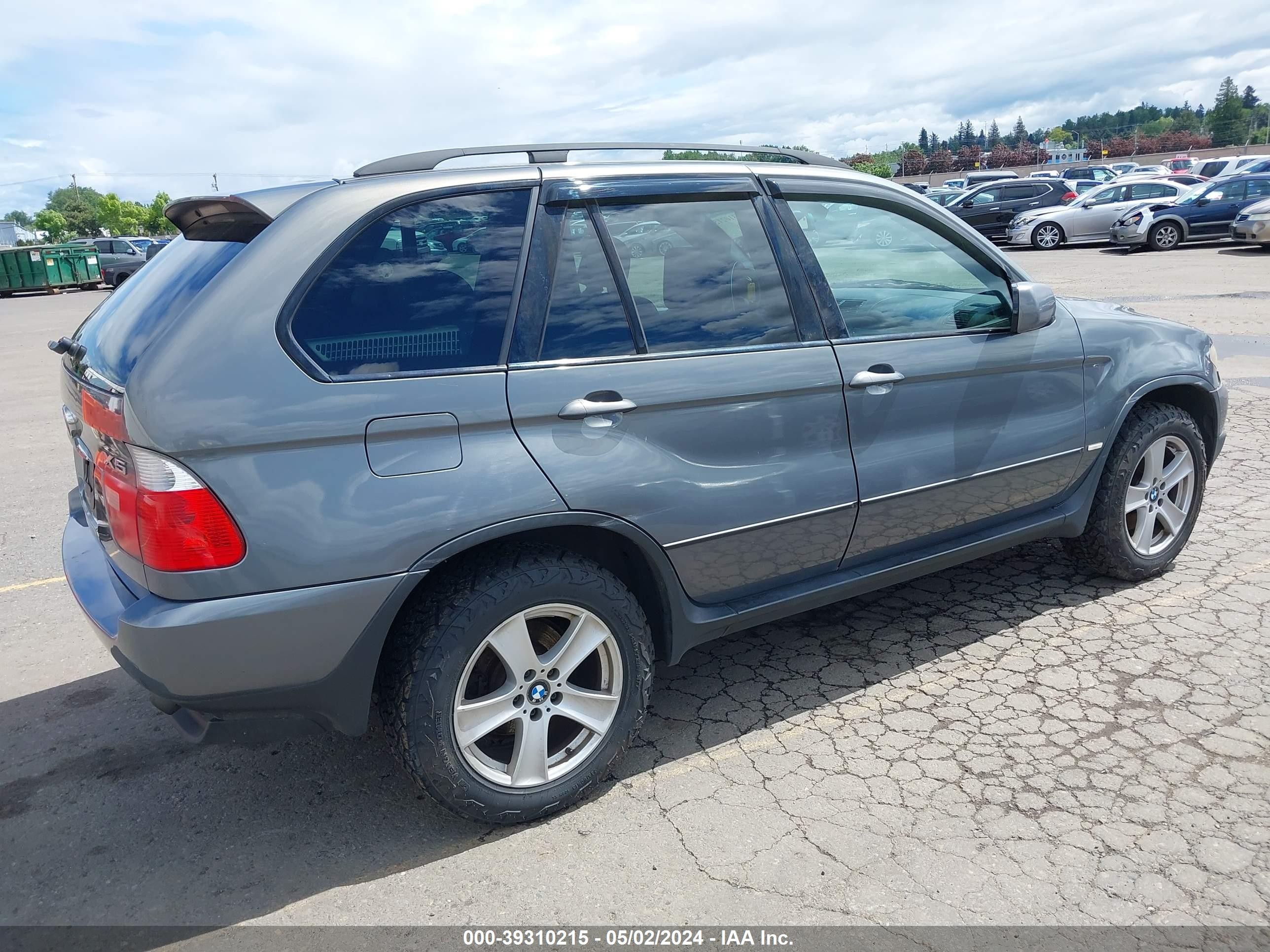 Photo 3 VIN: 5UXFA13506LY44484 - BMW X5 