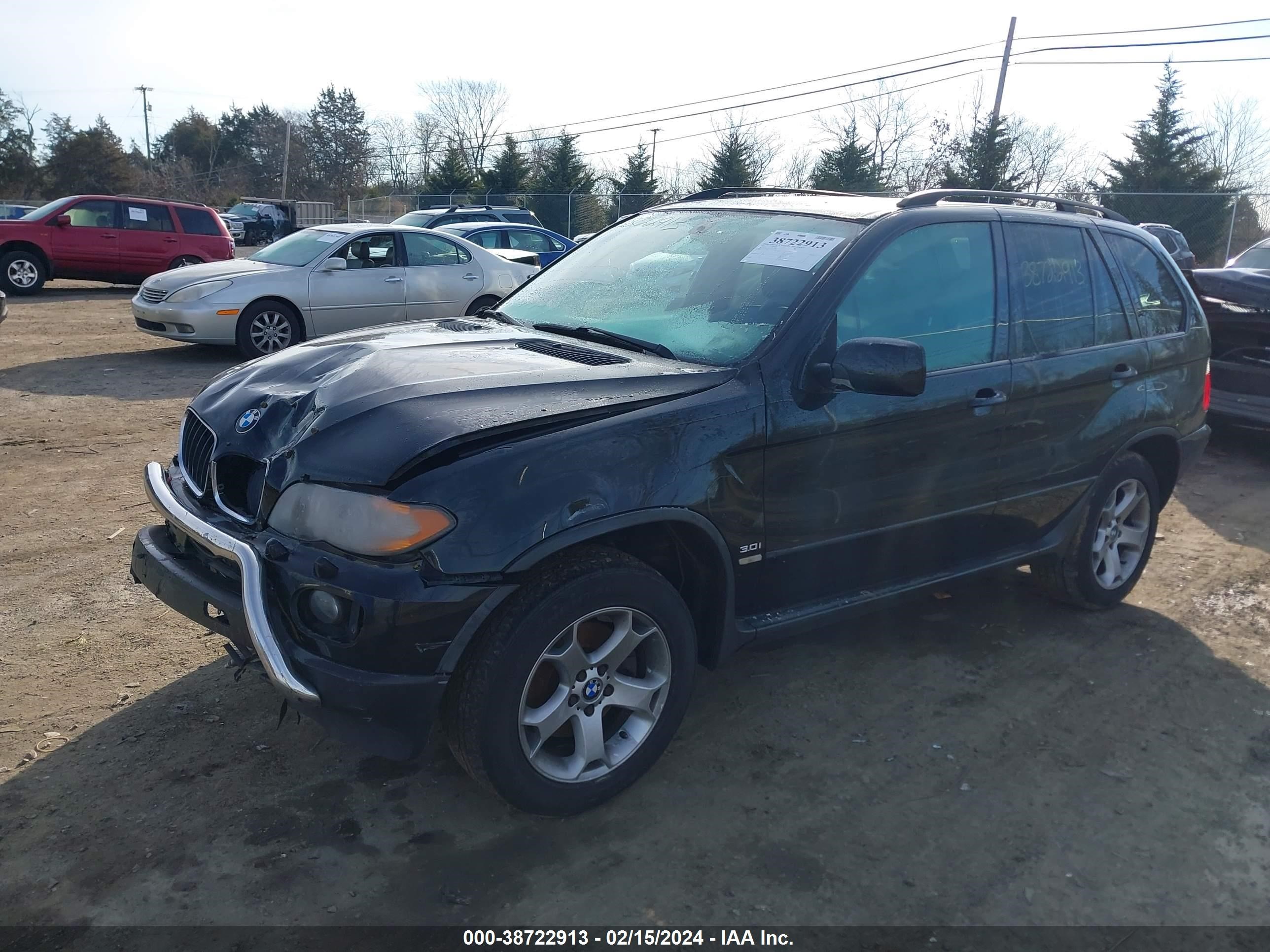 Photo 1 VIN: 5UXFA13515LU47509 - BMW X5 