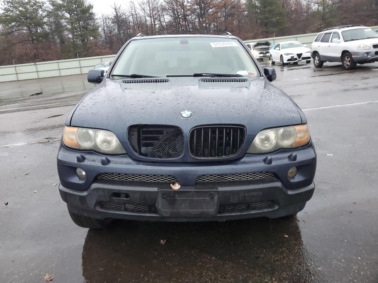 Photo 4 VIN: 5UXFA13524LU38476 - BMW X5 