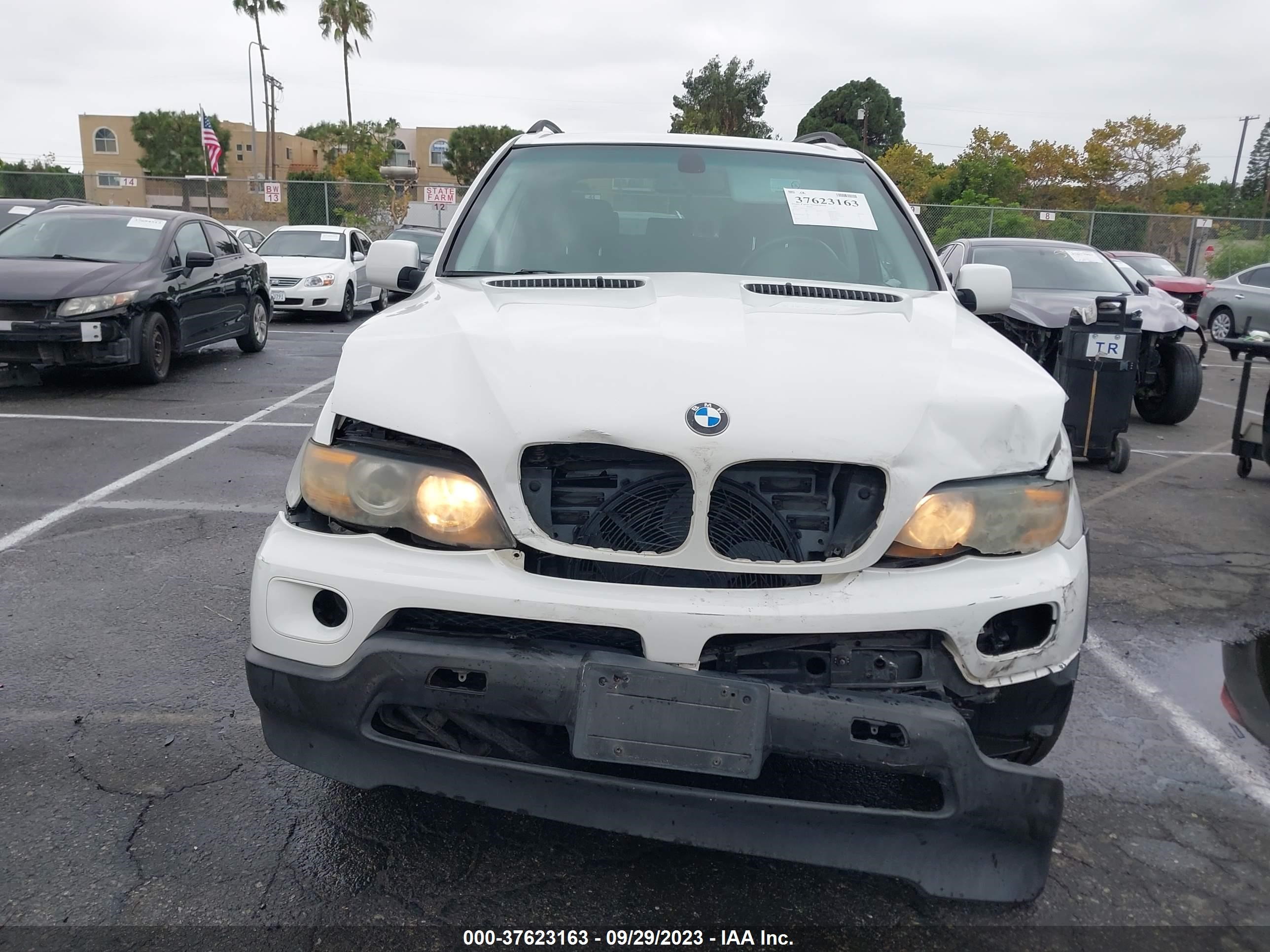 Photo 12 VIN: 5UXFA13525LY01344 - BMW X5 