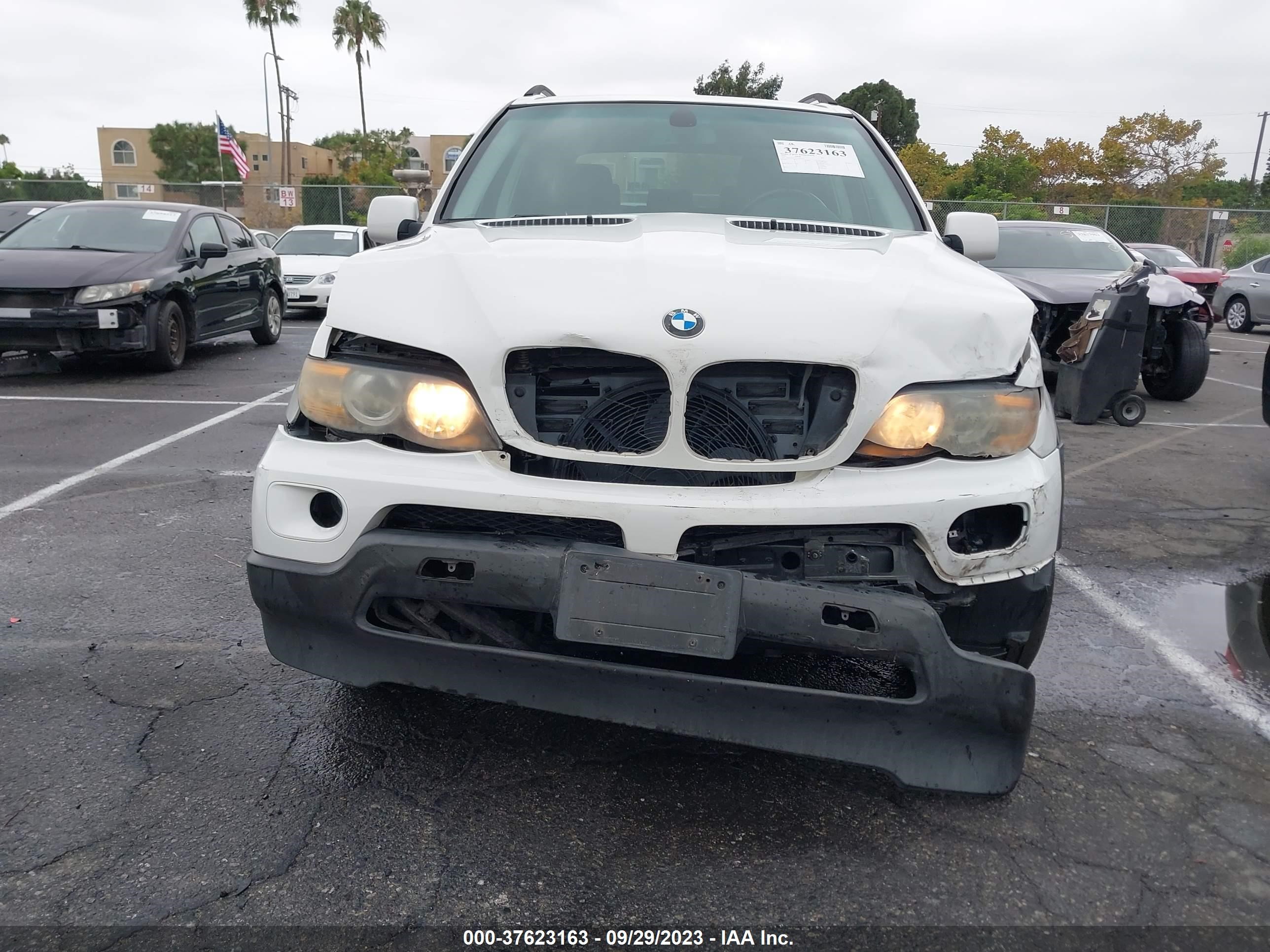 Photo 5 VIN: 5UXFA13525LY01344 - BMW X5 