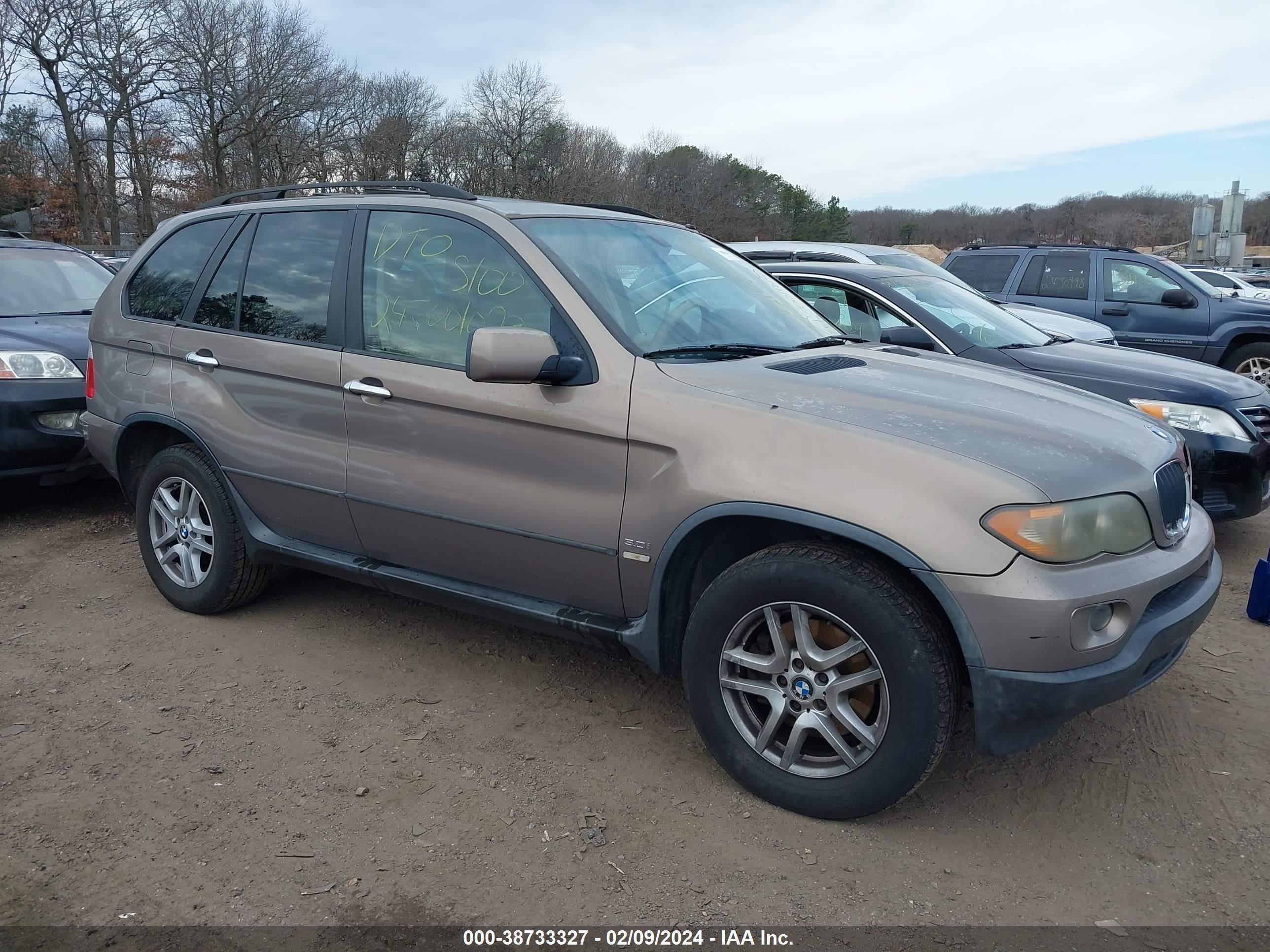 Photo 0 VIN: 5UXFA13526LY44096 - BMW X5 