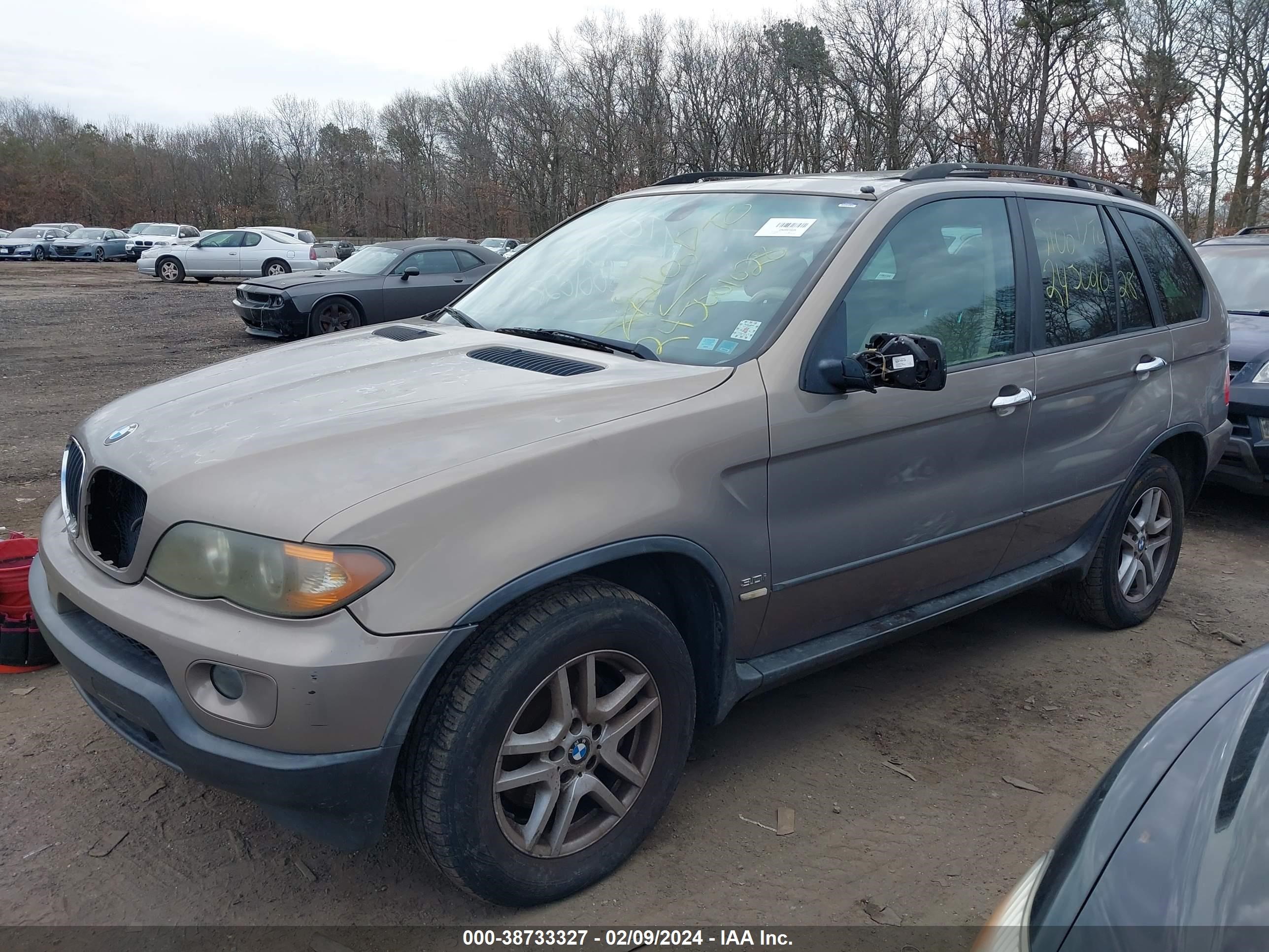 Photo 1 VIN: 5UXFA13526LY44096 - BMW X5 