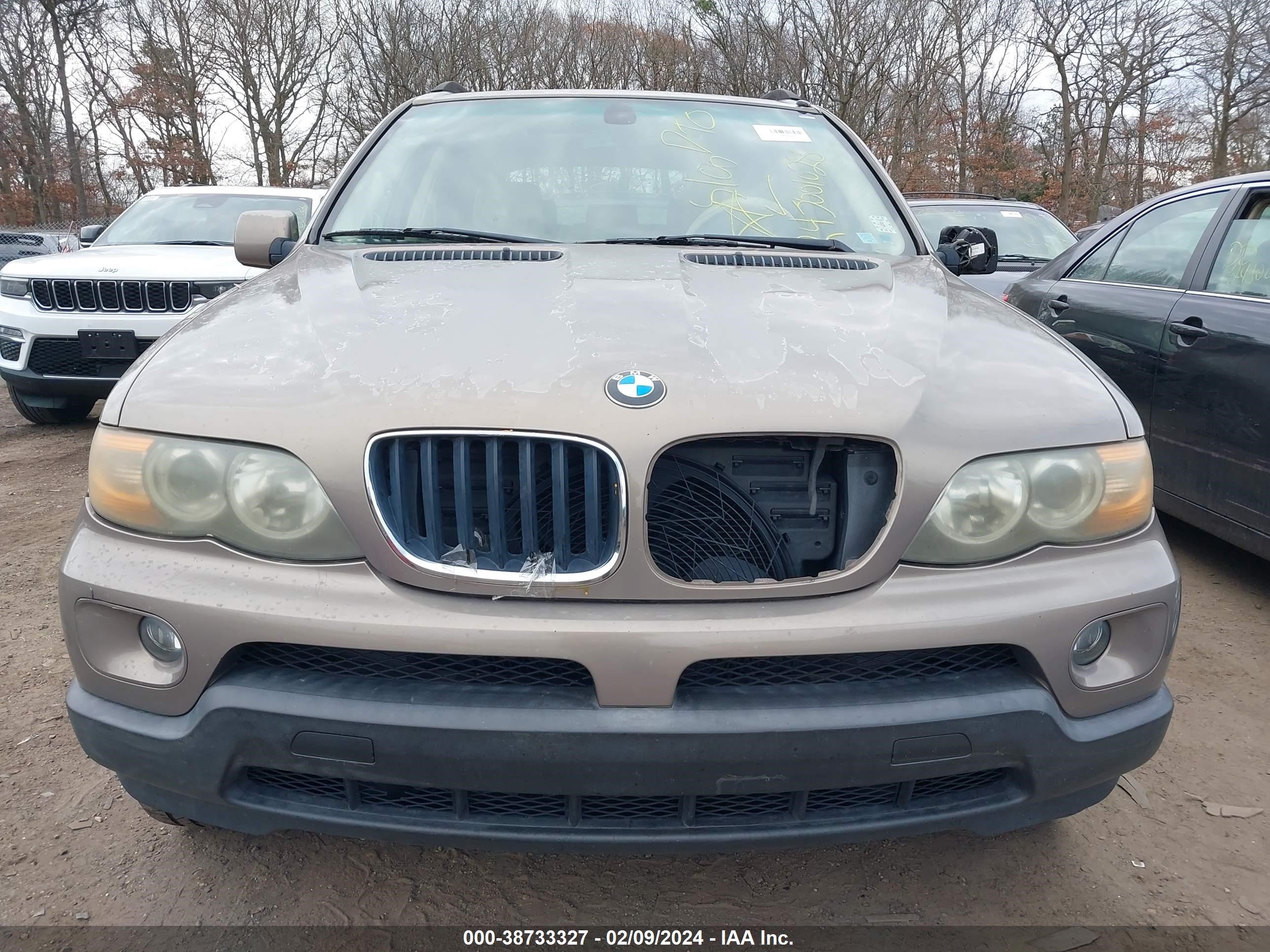 Photo 5 VIN: 5UXFA13526LY44096 - BMW X5 