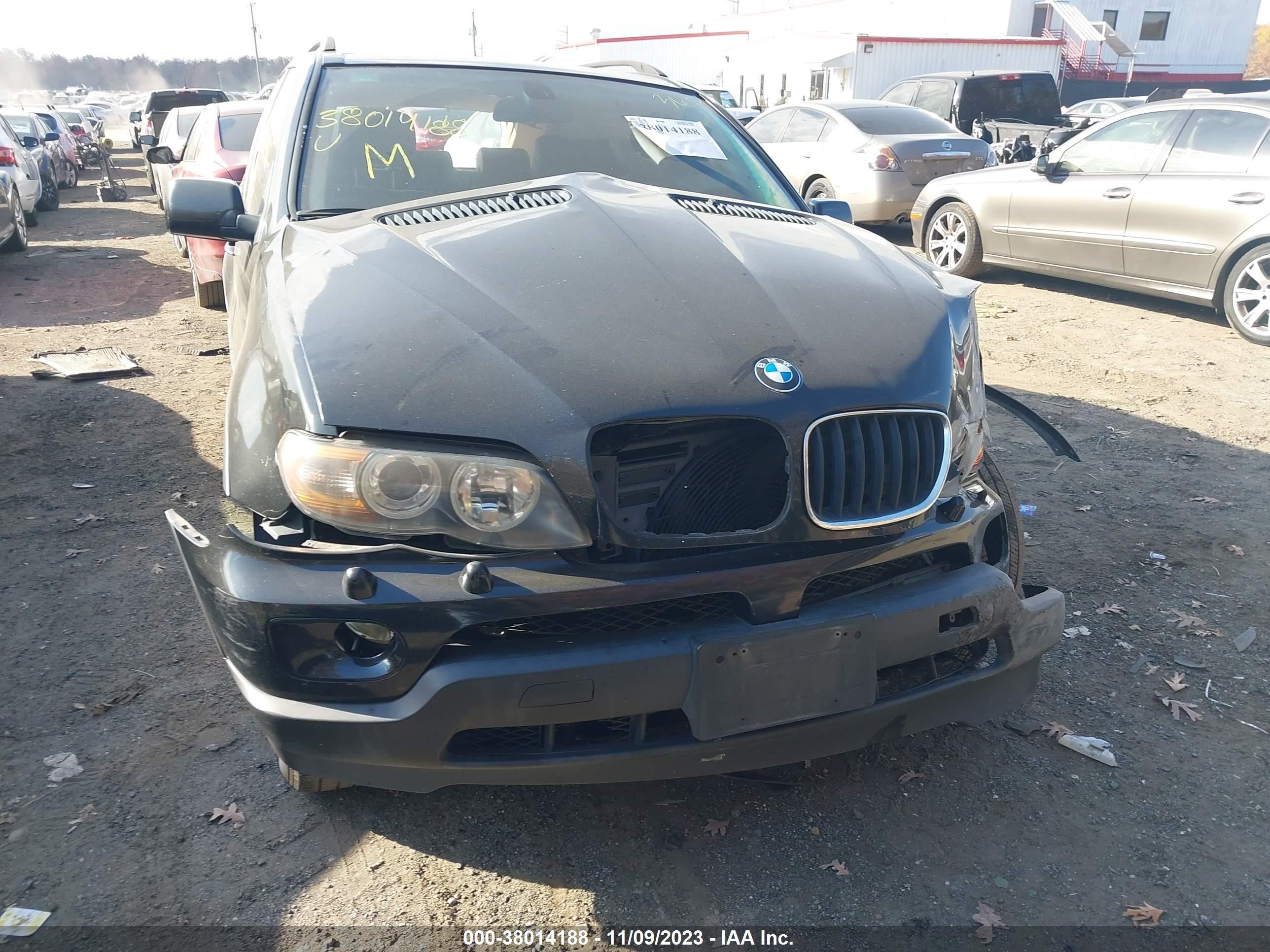 Photo 11 VIN: 5UXFA13535LY10571 - BMW X5 