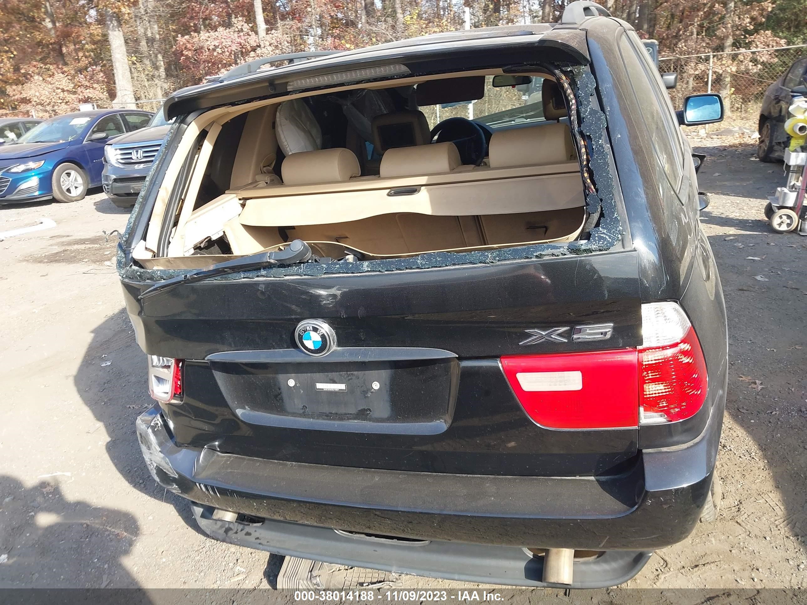 Photo 15 VIN: 5UXFA13535LY10571 - BMW X5 