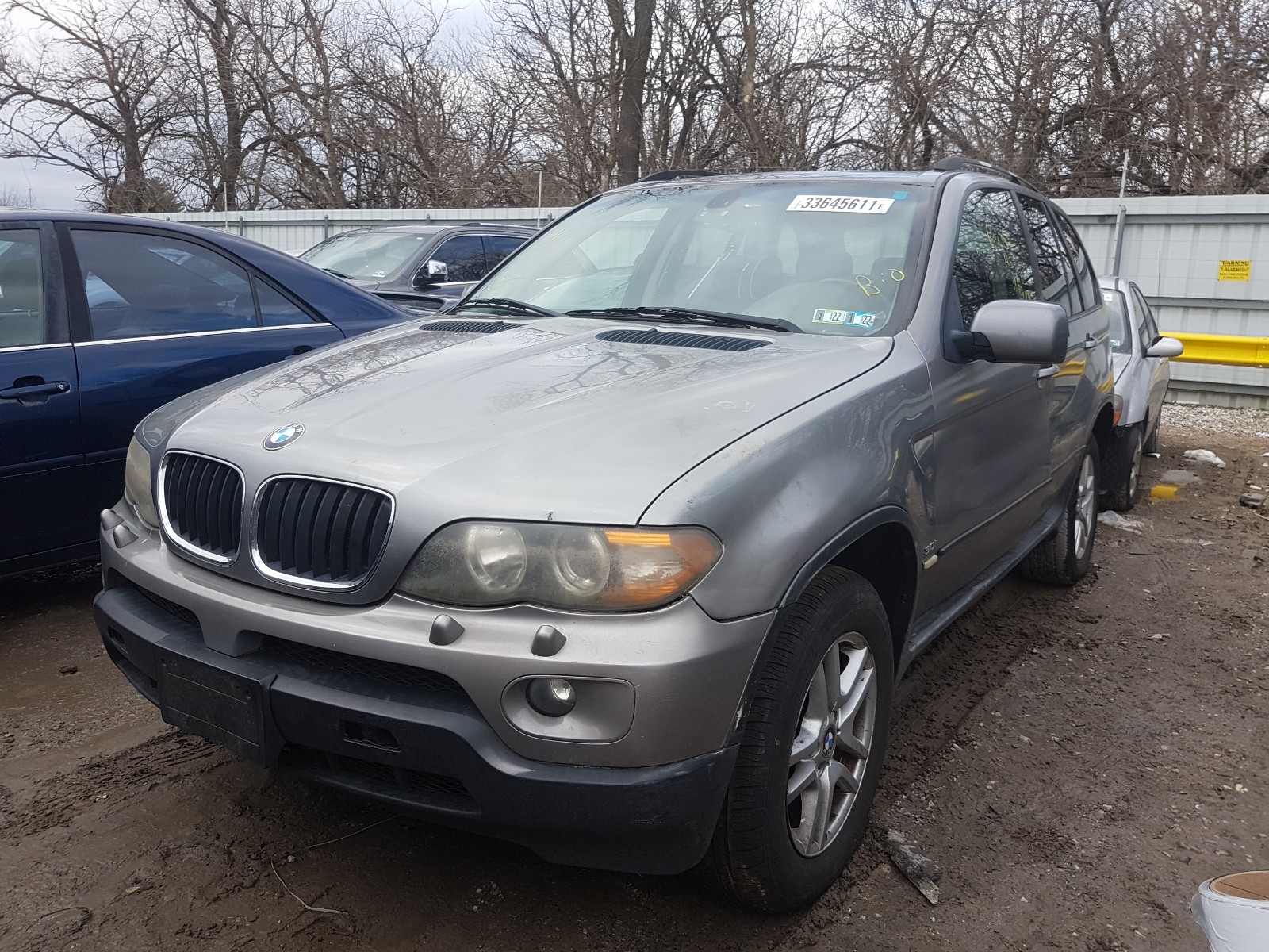 Photo 1 VIN: 5UXFA13546LY29521 - BMW X5 3.0I 