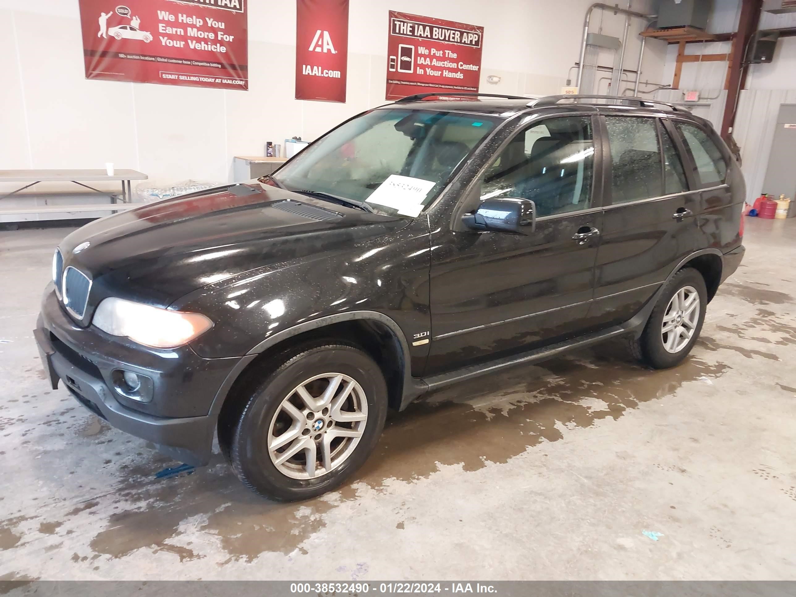 Photo 1 VIN: 5UXFA13555LY13651 - BMW X5 