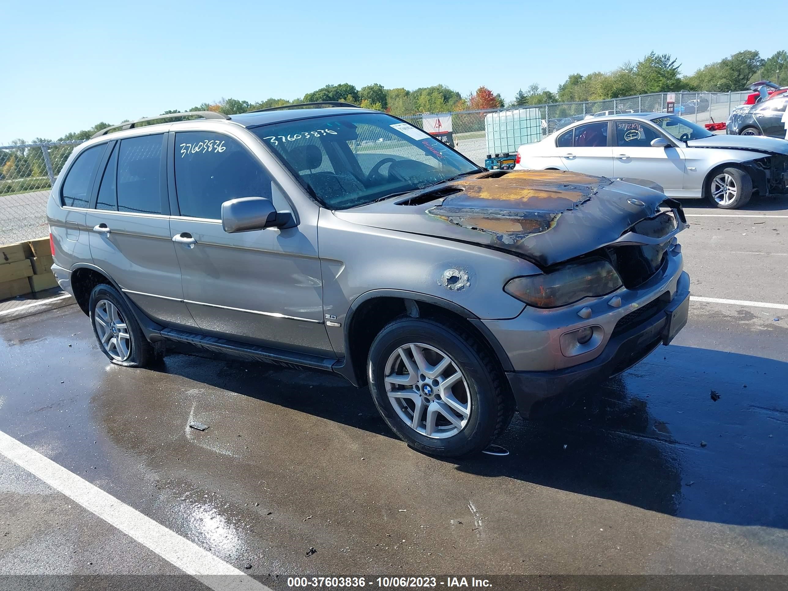 Photo 0 VIN: 5UXFA13566LY31836 - BMW X5 